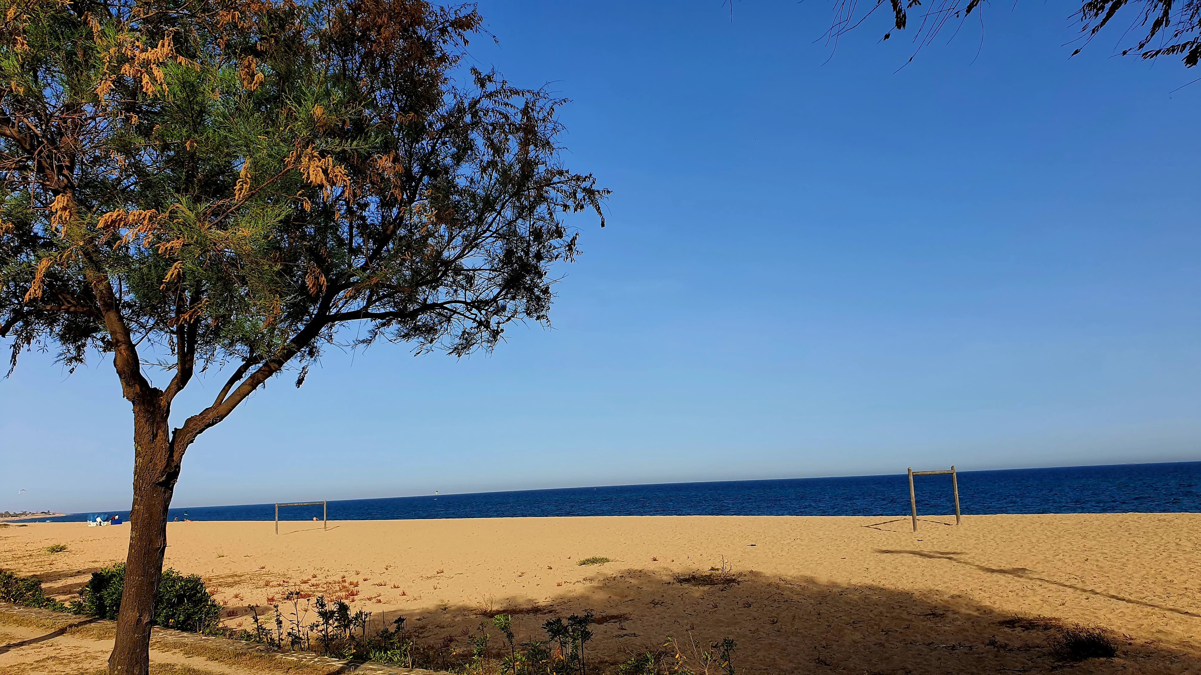 Hotel Reymar Playa Ansicht 9