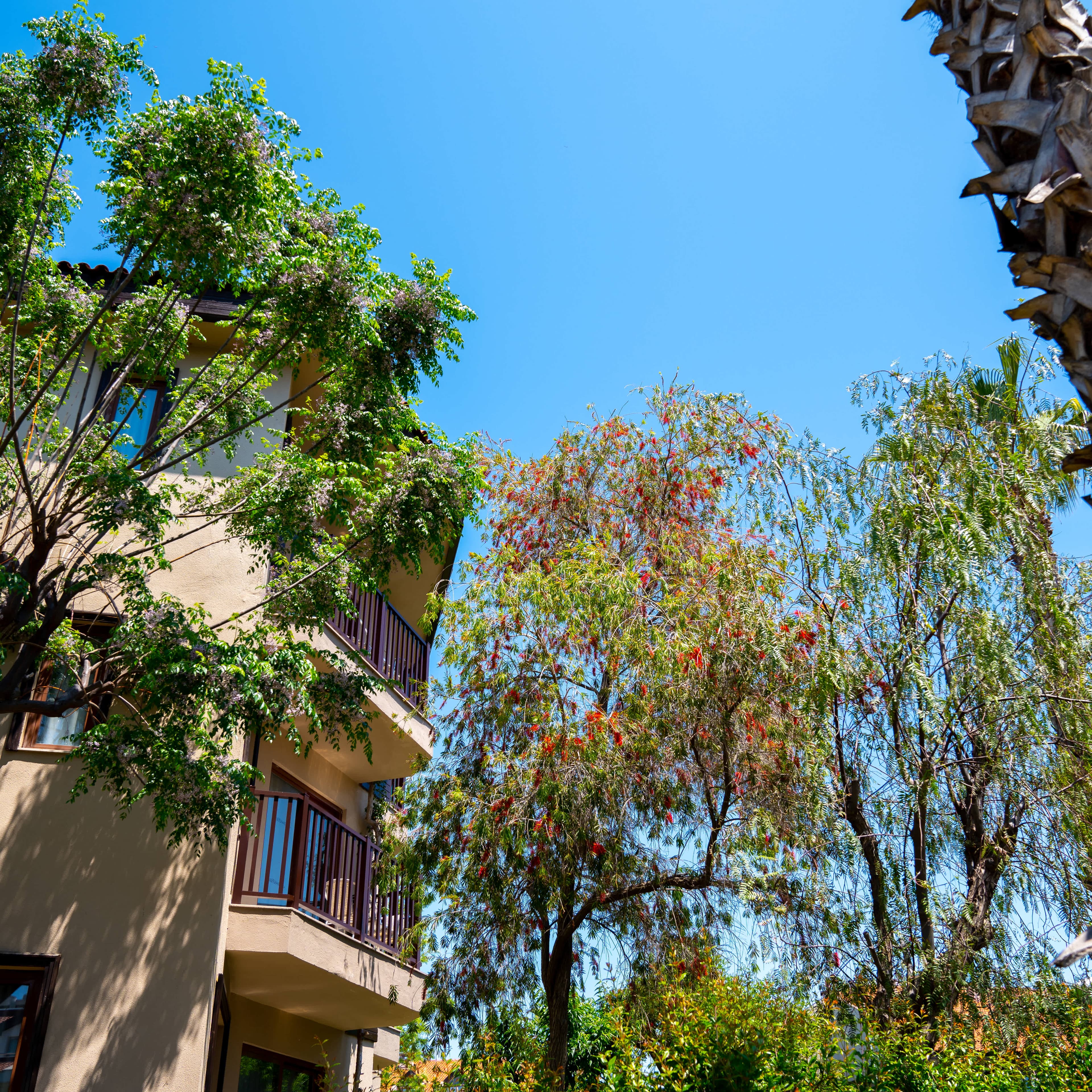 Alba Resort Hotel Ansicht 3