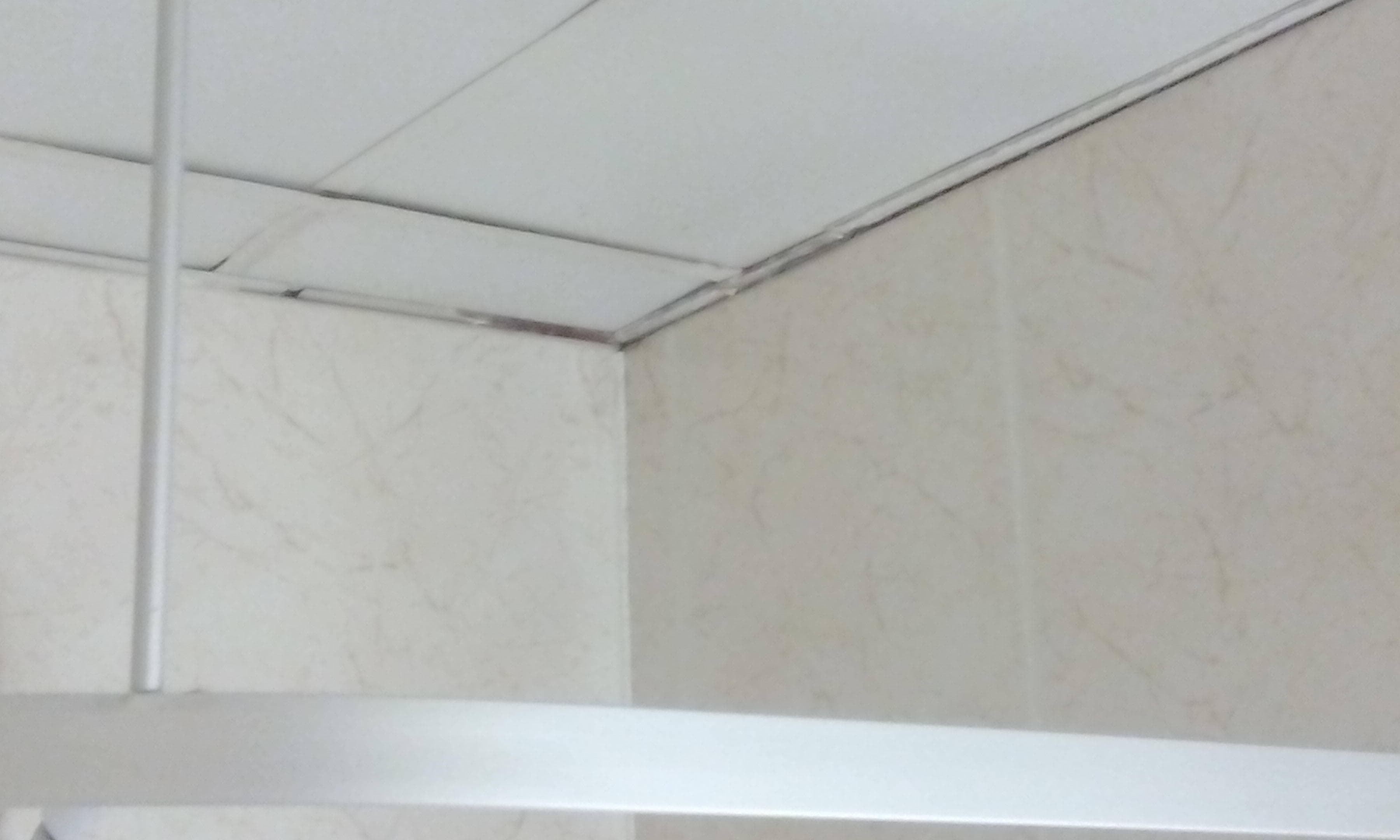 Newhotel Le Voltaire Ansicht 8