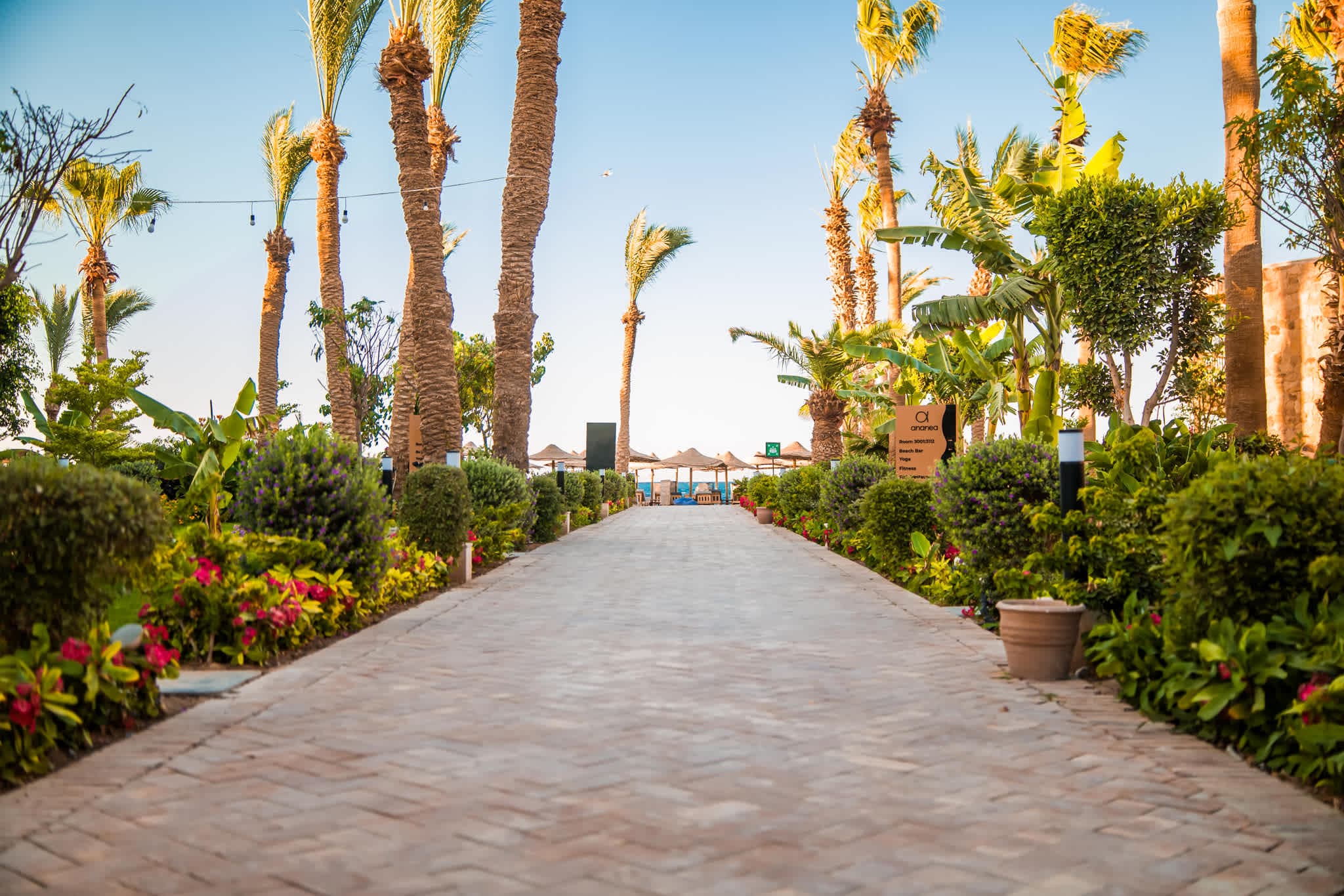 ananea Hurghada - Adults Only Ansicht 8