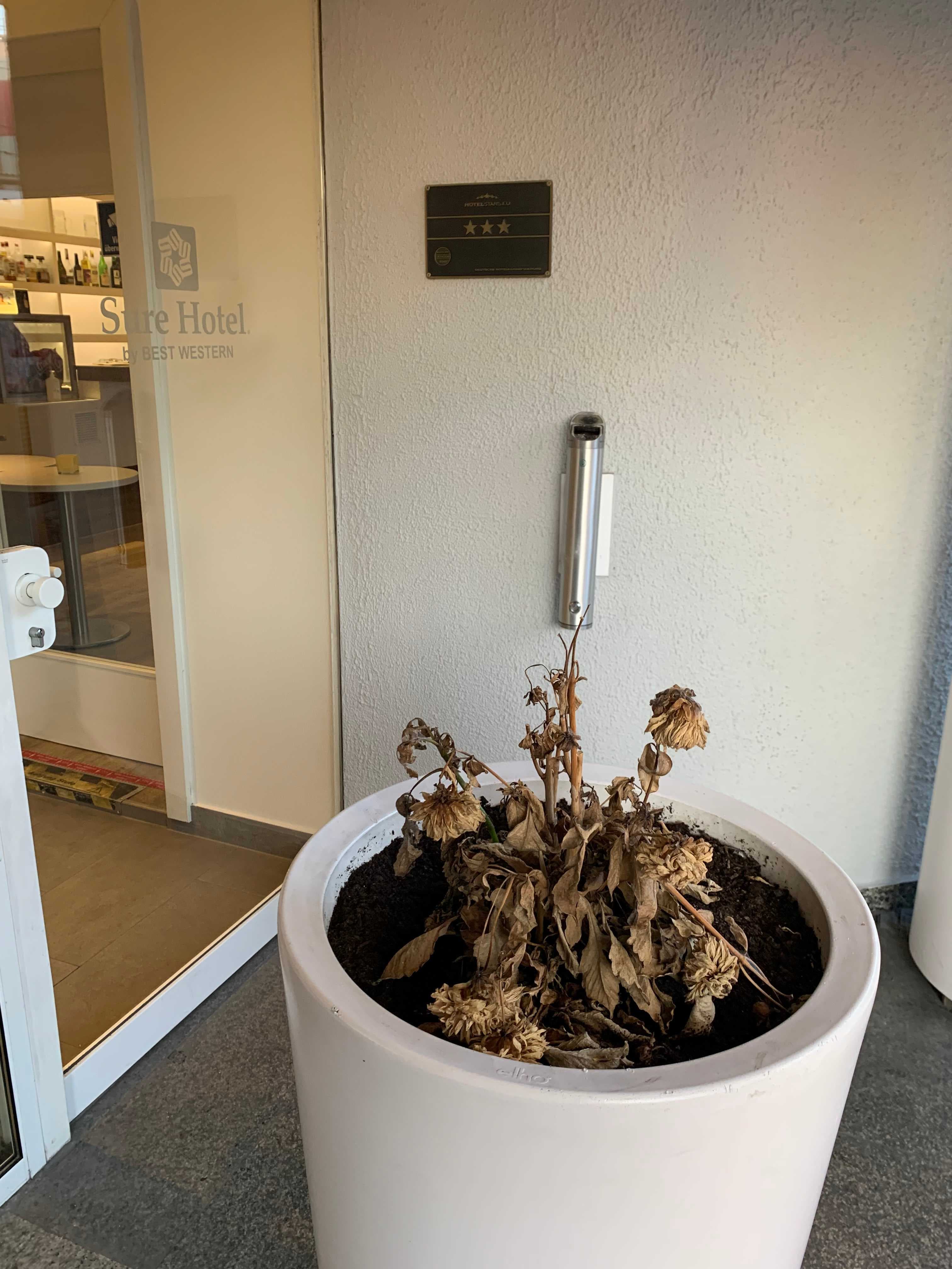 Sure Hotel by Best Western München Hauptbahnhof Ansicht 2