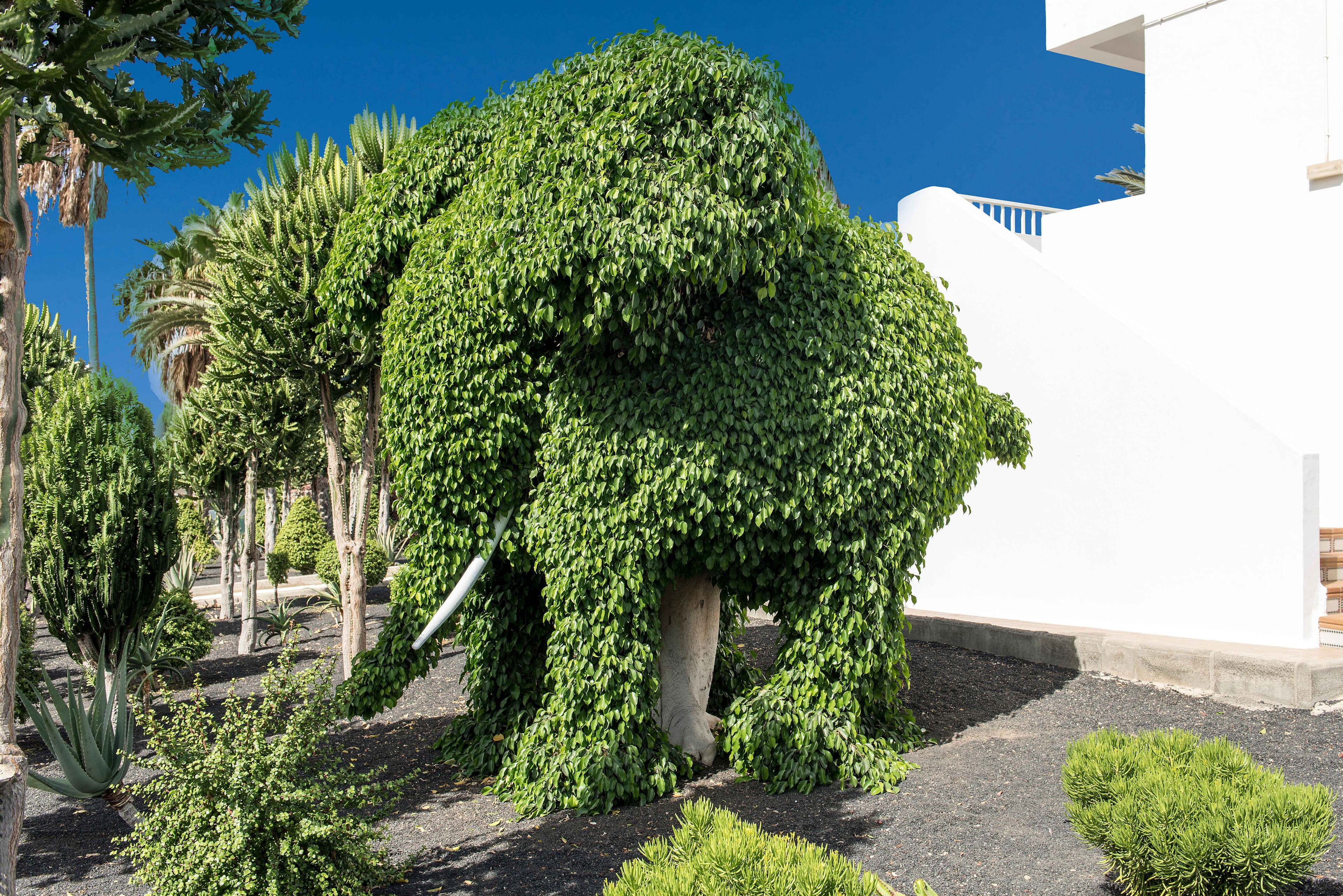 Hotel Floresta Ansicht 3