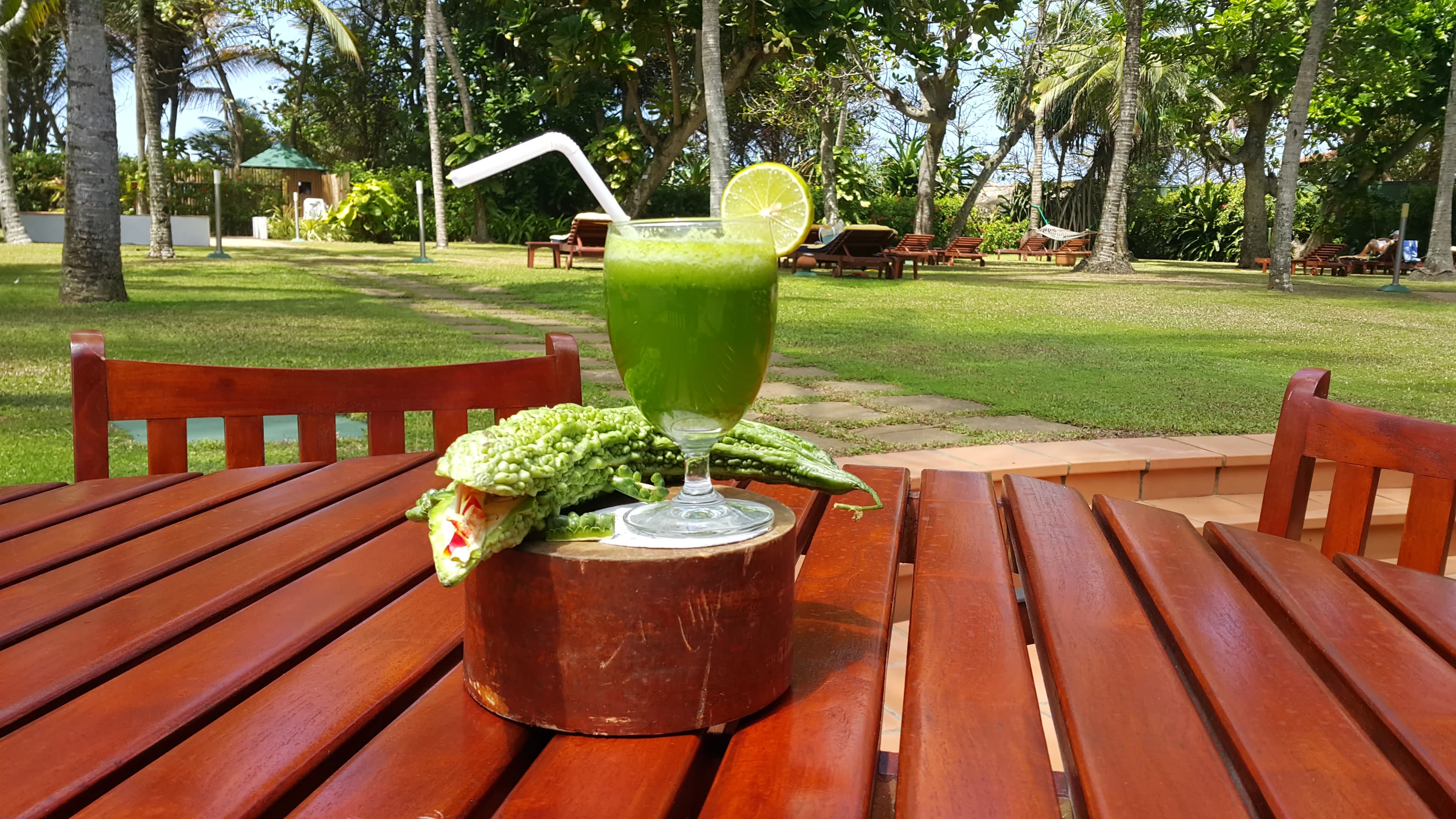 Hotel Lanka Princess Ayurveda Ansicht 9