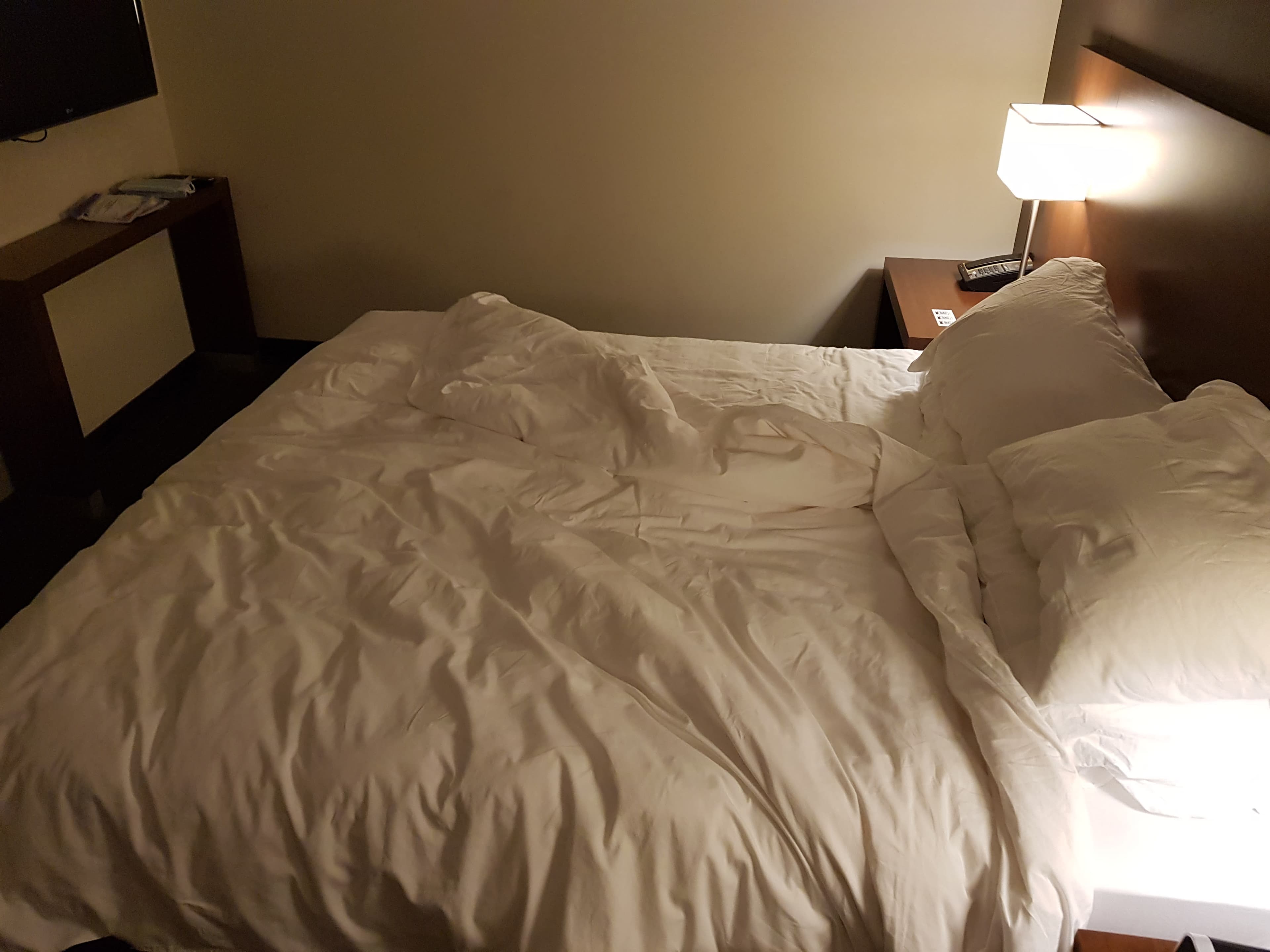 Hotel Hyatt Place Yerevan Ansicht 4