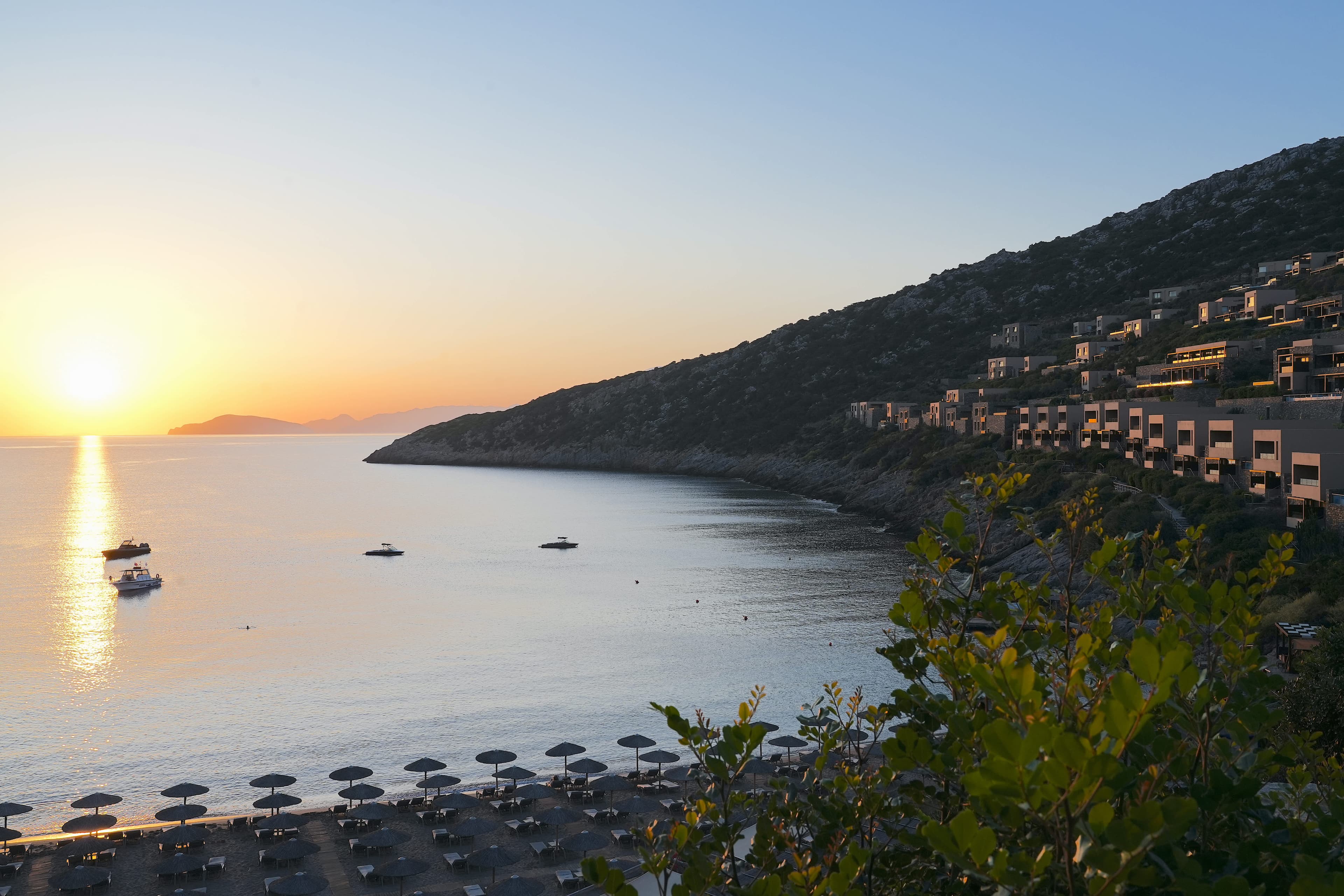 DAIOS COVE