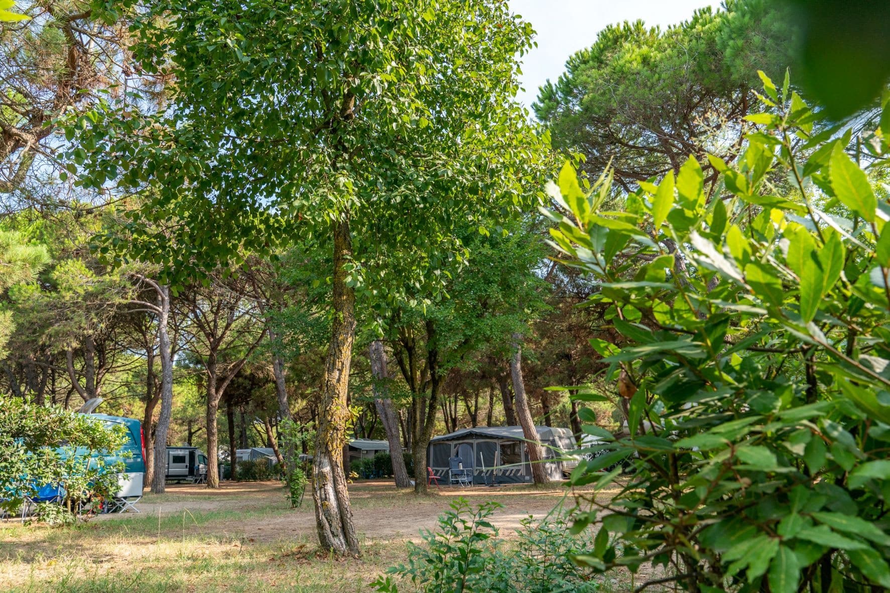 Camping Ca'Savio Ansicht 2