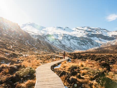 Rundreisen Neuseeland : Flexible Mietwagen-Rundreise ab Auckland bis Christchurch: Neuseeland