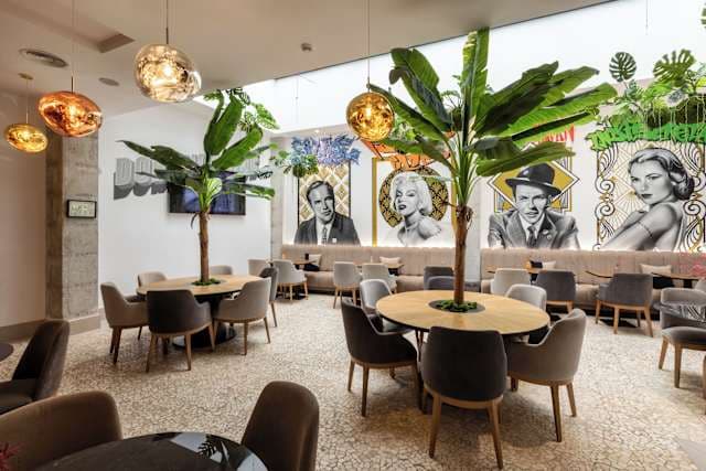 Dormirdcine Alicante