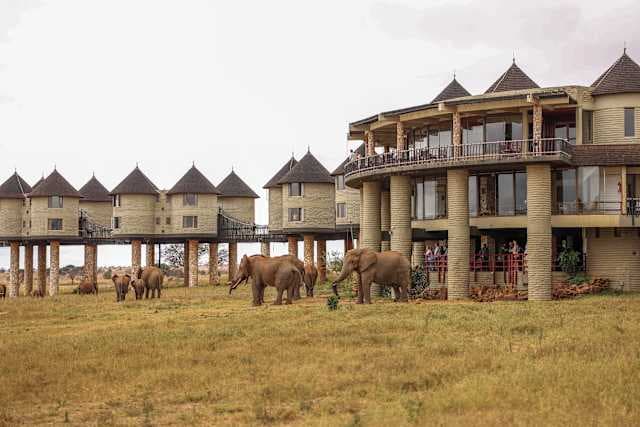 Salt Lick Safari Lodge