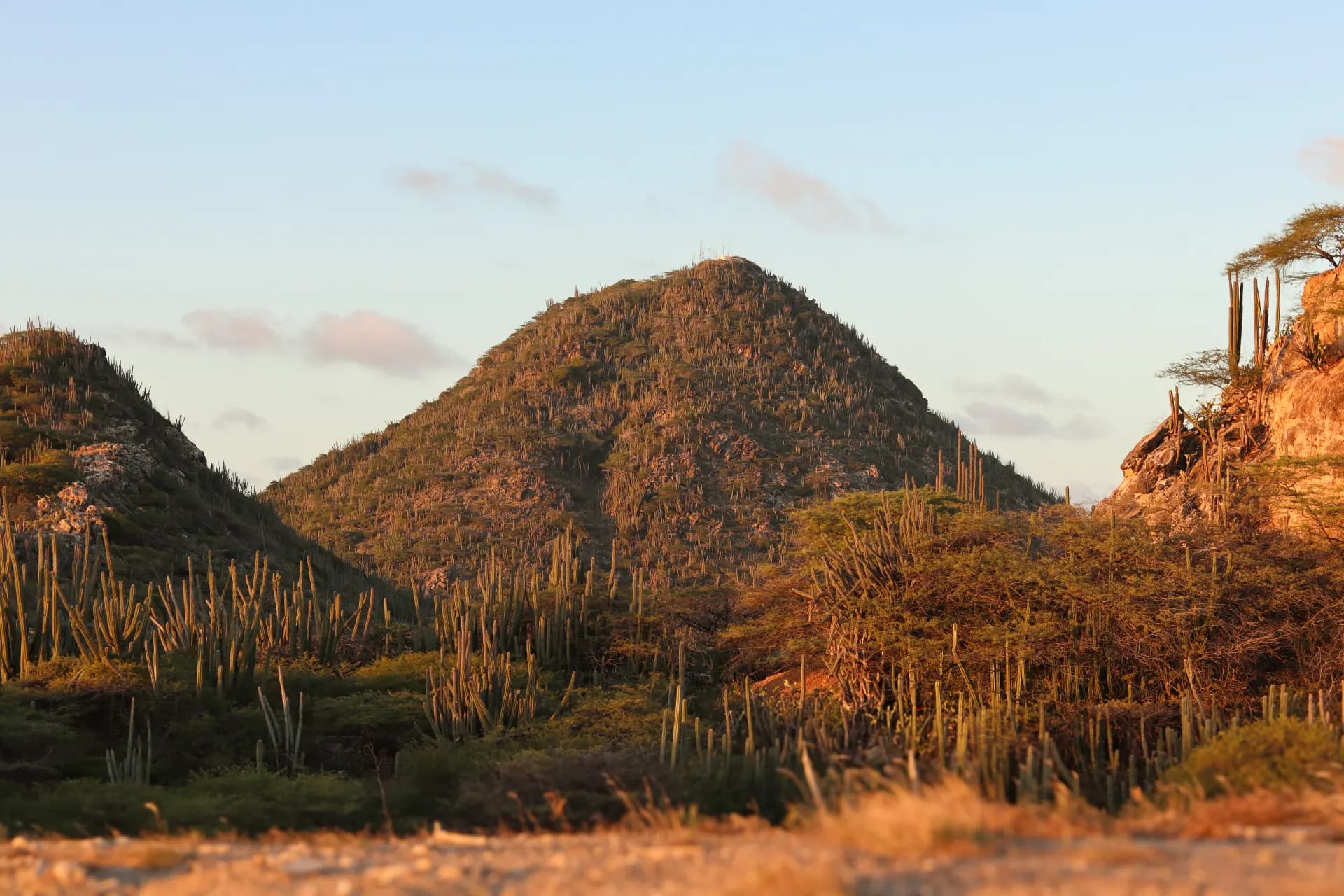 a group of mountains in the middle of a desert