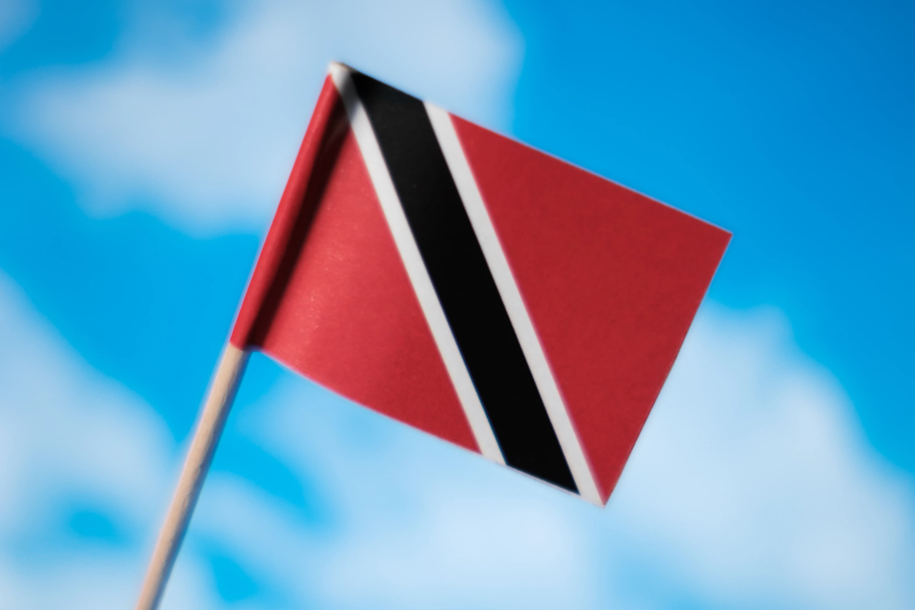 a flag flying in the wind with a blue sky in the background