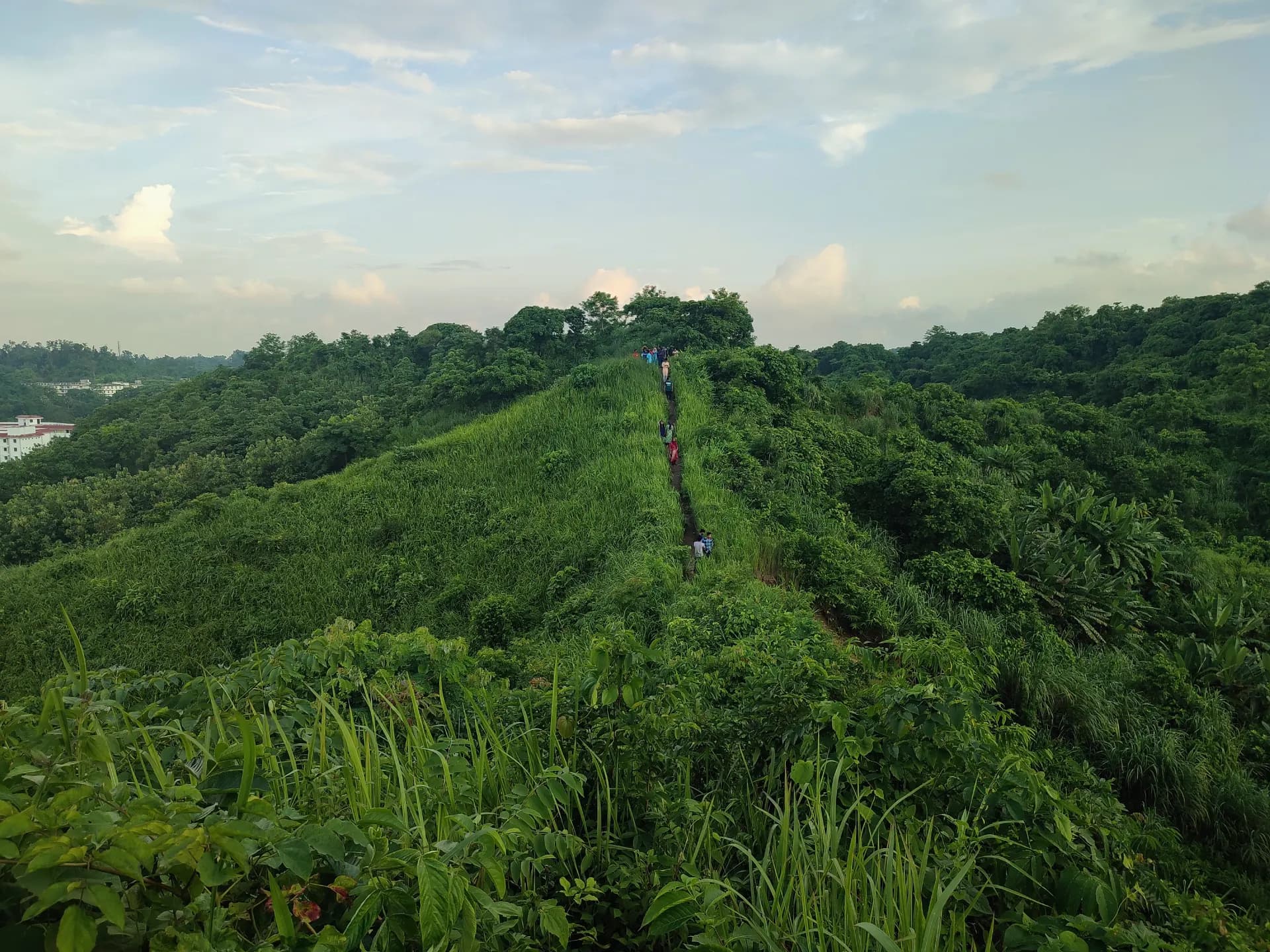 A view of a lush green hillside with a river in the distance
