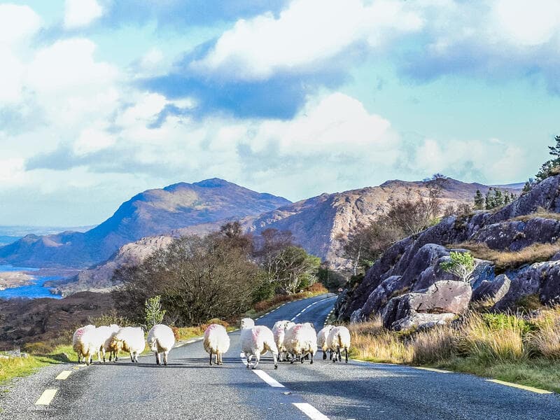 Rundreisen Irland: Lebhafte Straßen, schroffe Klippen & hübsche Dörfer