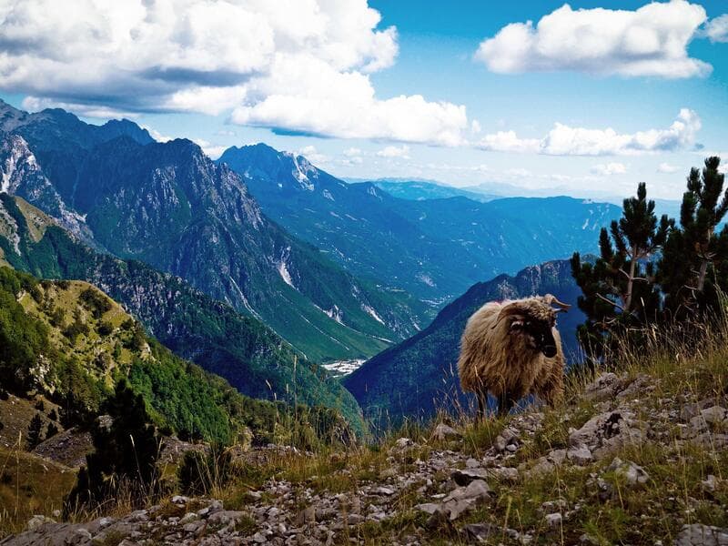 Erlebnisreisen Albanien, Nordmazedonien & Kosovo: Einzigartige Entdeckungen im Balkan