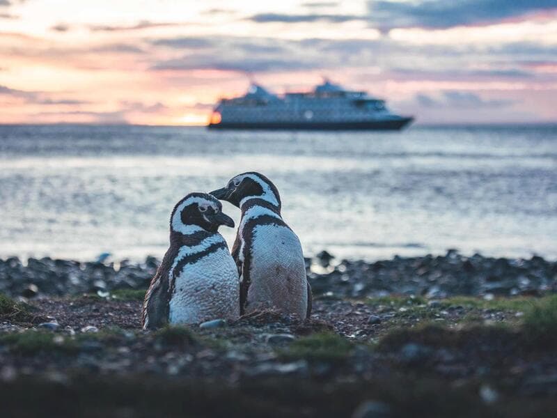 MS Ventus Australis#°#M/V Stella Australis