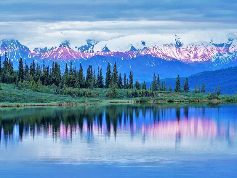 Nieuw Amsterdam#°#Holland America Denali Lodge, Denali National Park#°#Rosedale on Robson Suite Hotel, Vancouver