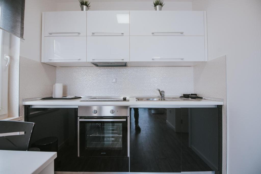 Danivan B Studio in Novalja 3