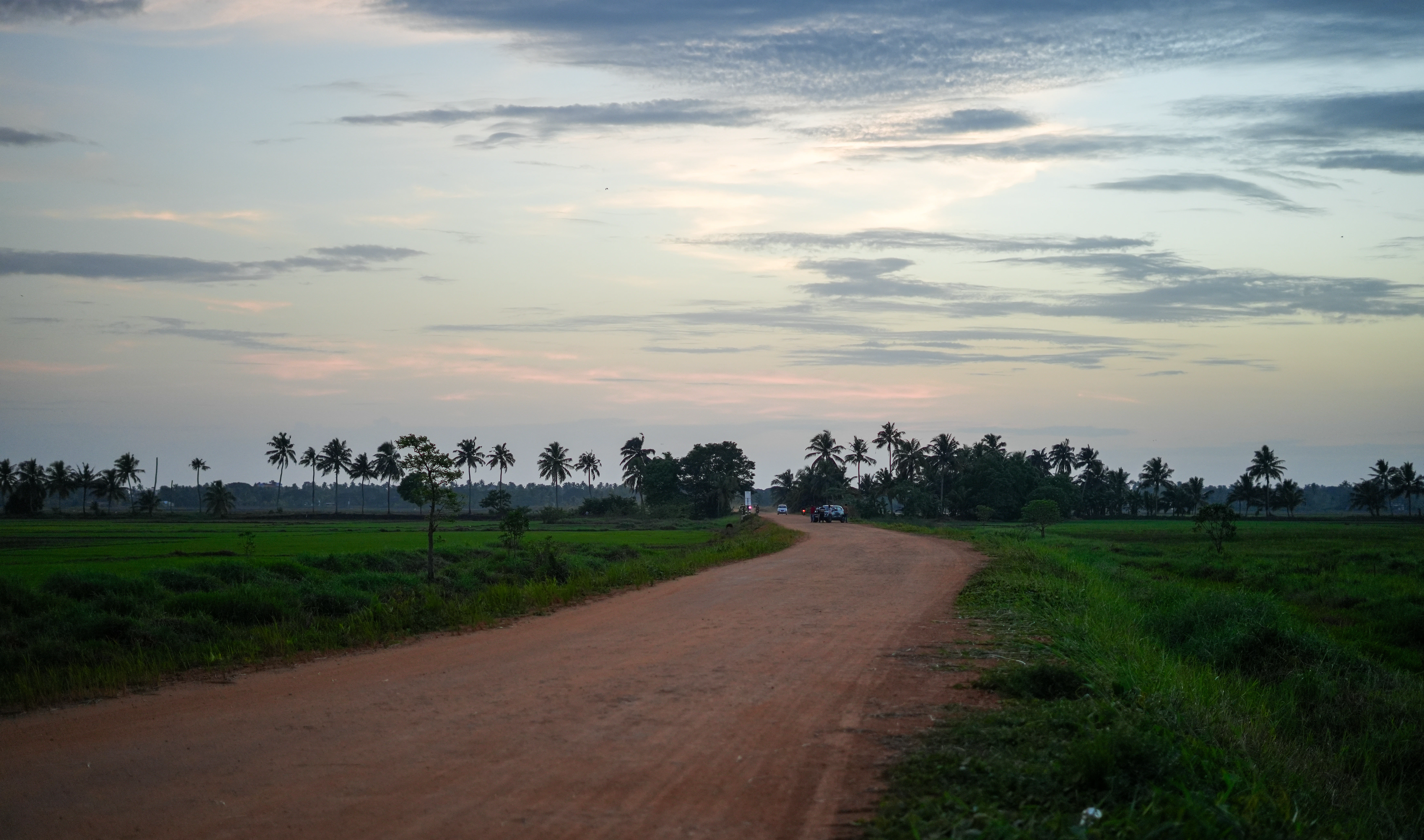 A dirt road in the middle of a green field