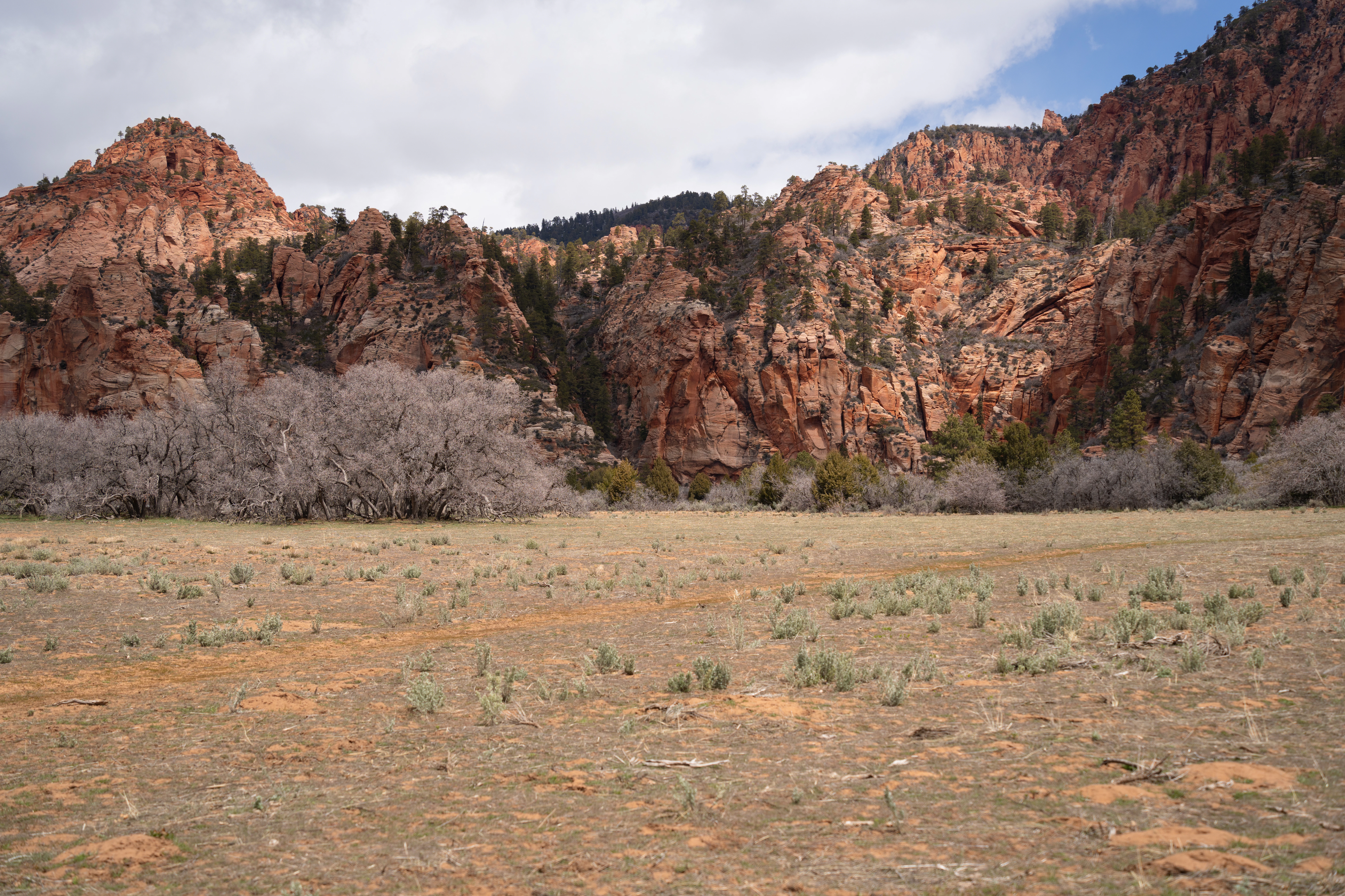 a field with a mountain in the background