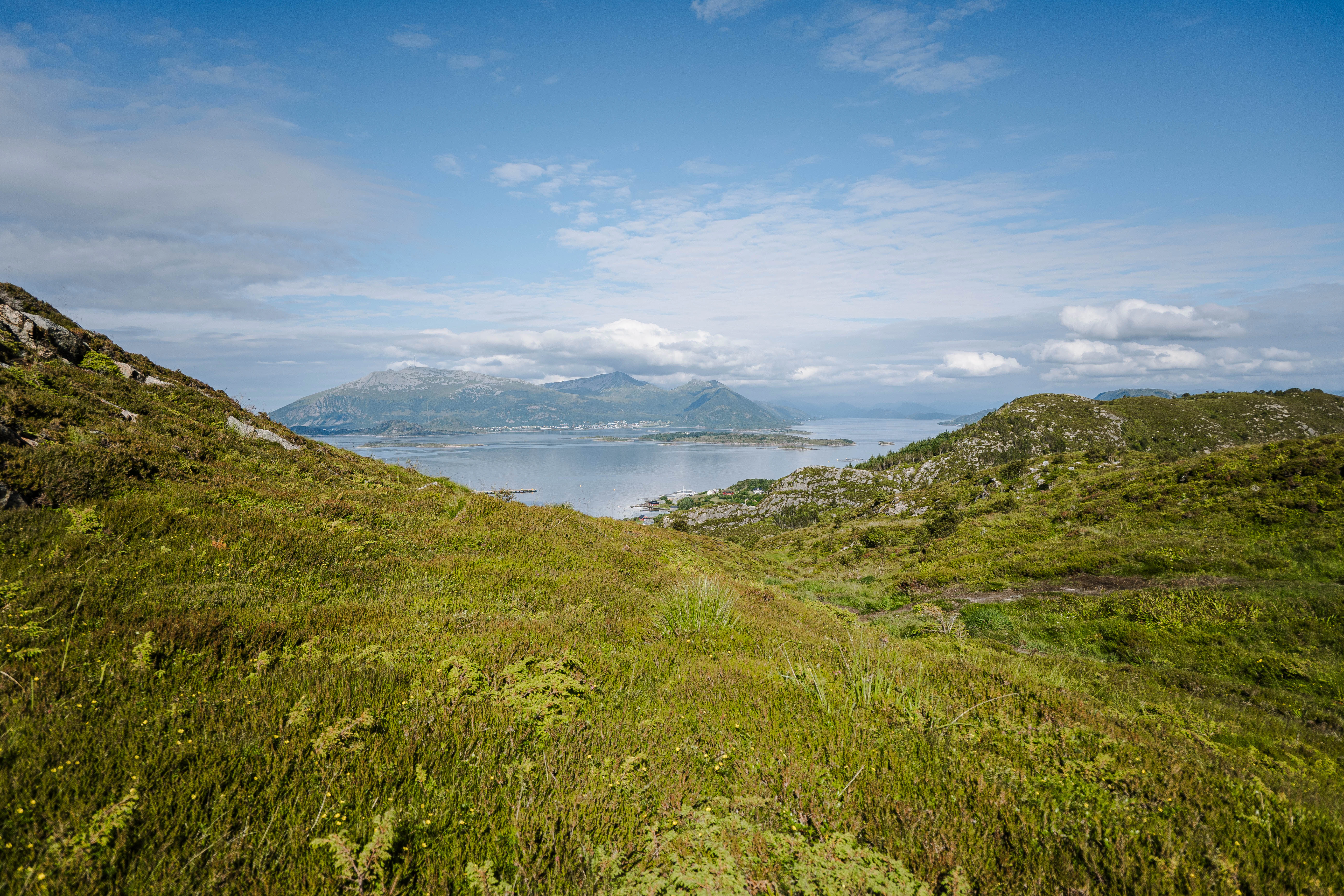 a grassy hill with a body of water in the distance