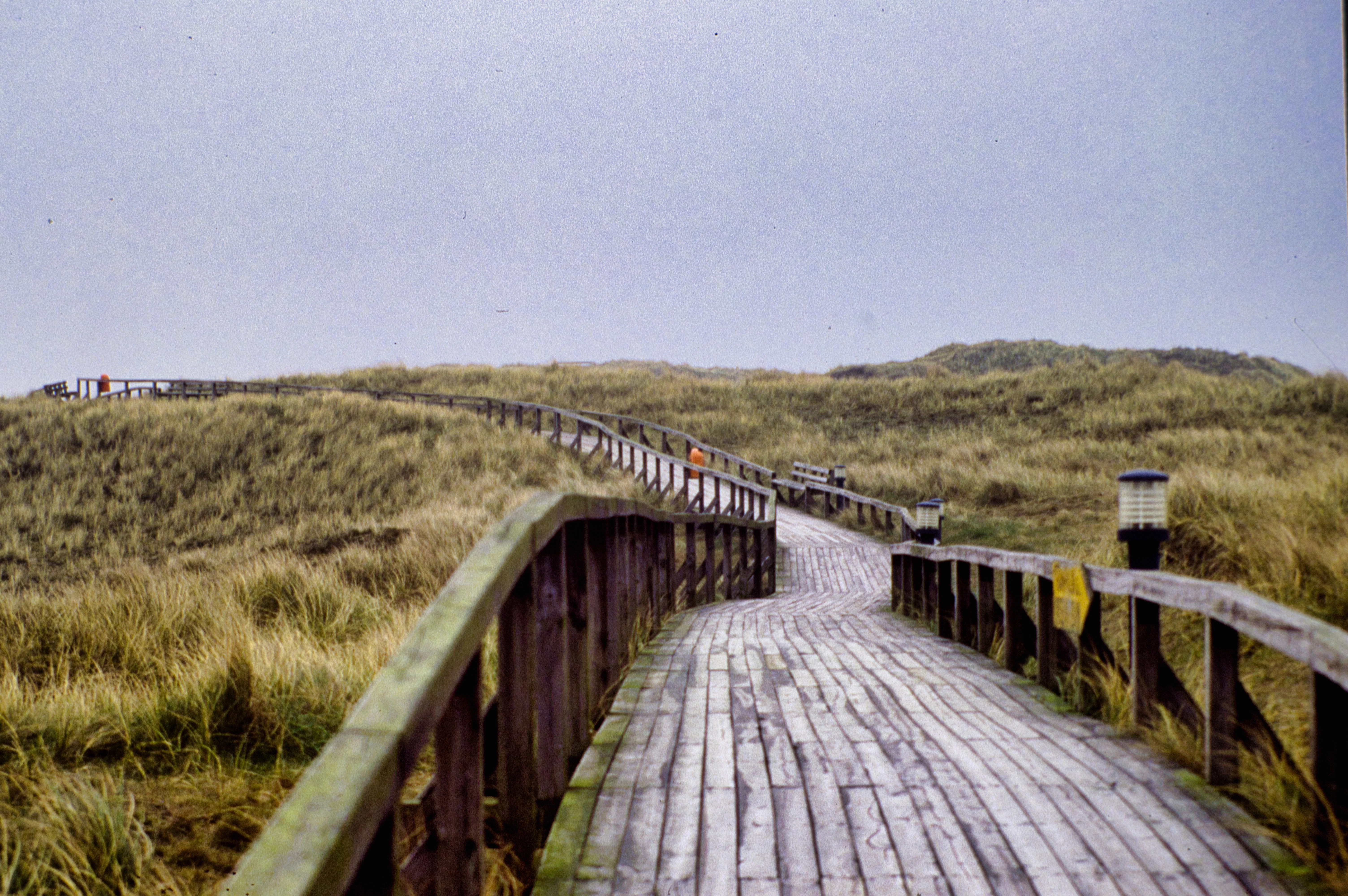 a wooden bridge over a grassy area