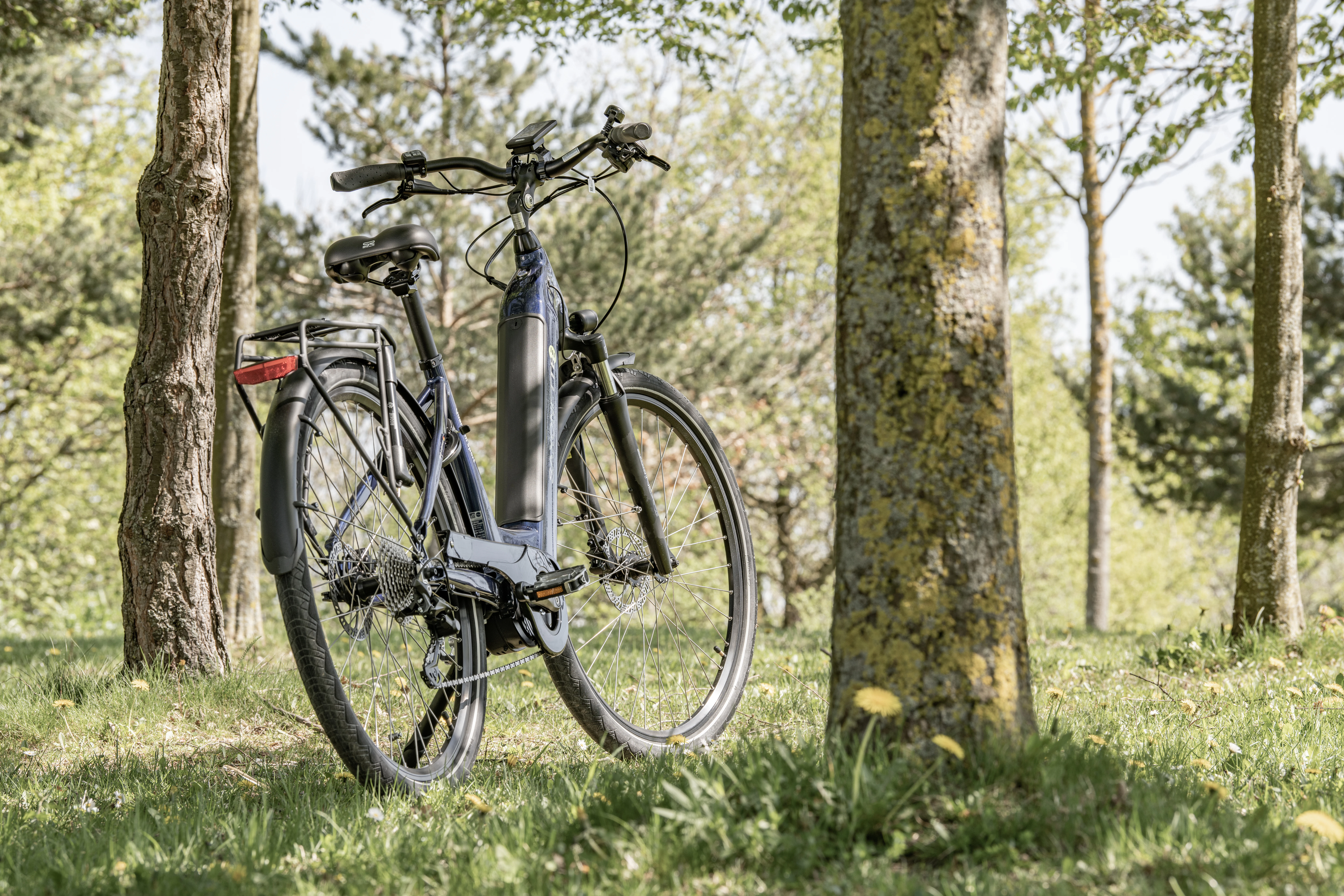 An electric bicycle parked in a sunny forest clearing.