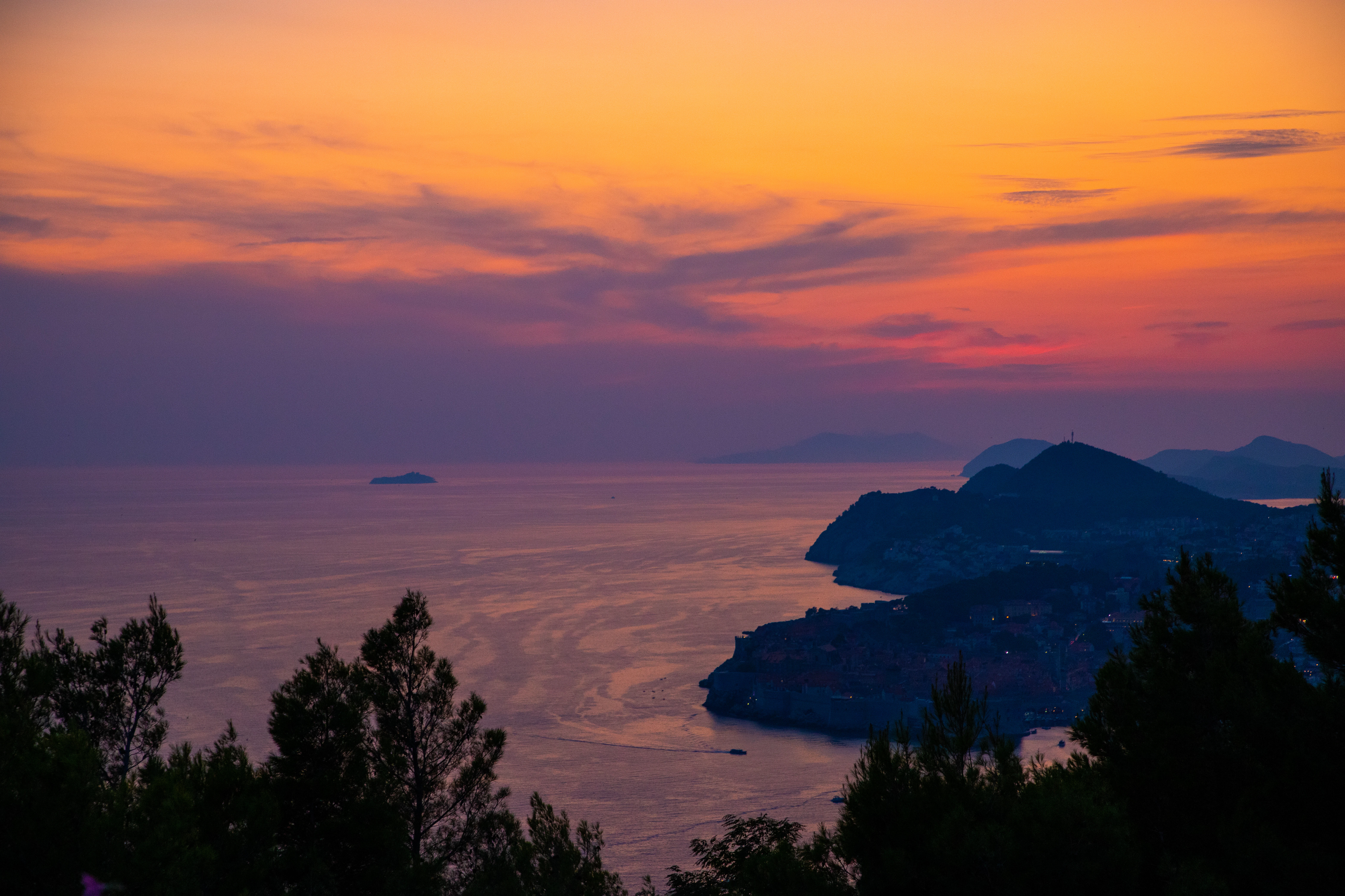 silhouette of trees near body of water during sunset