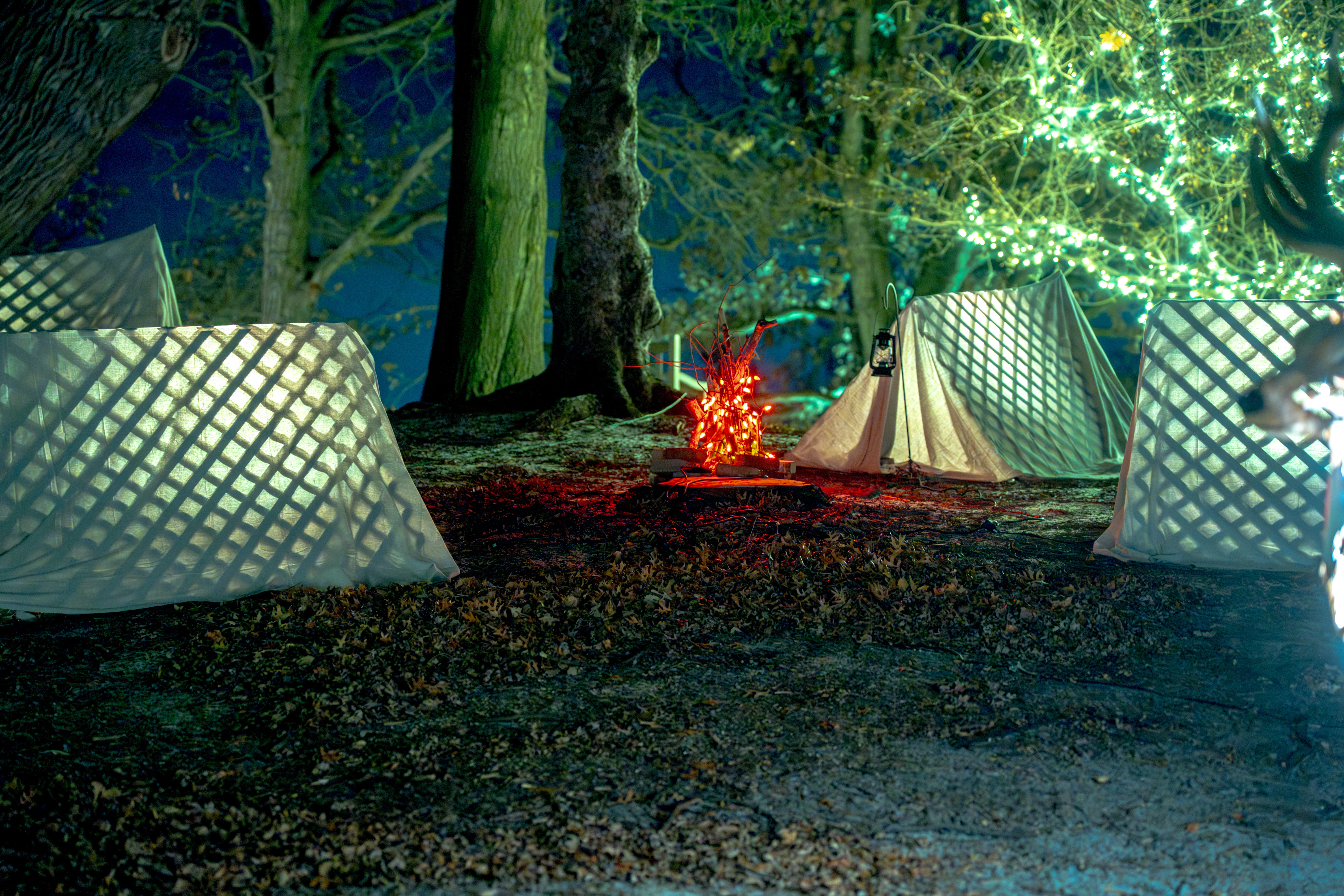 Campsite with tents and a glowing campfire at night.