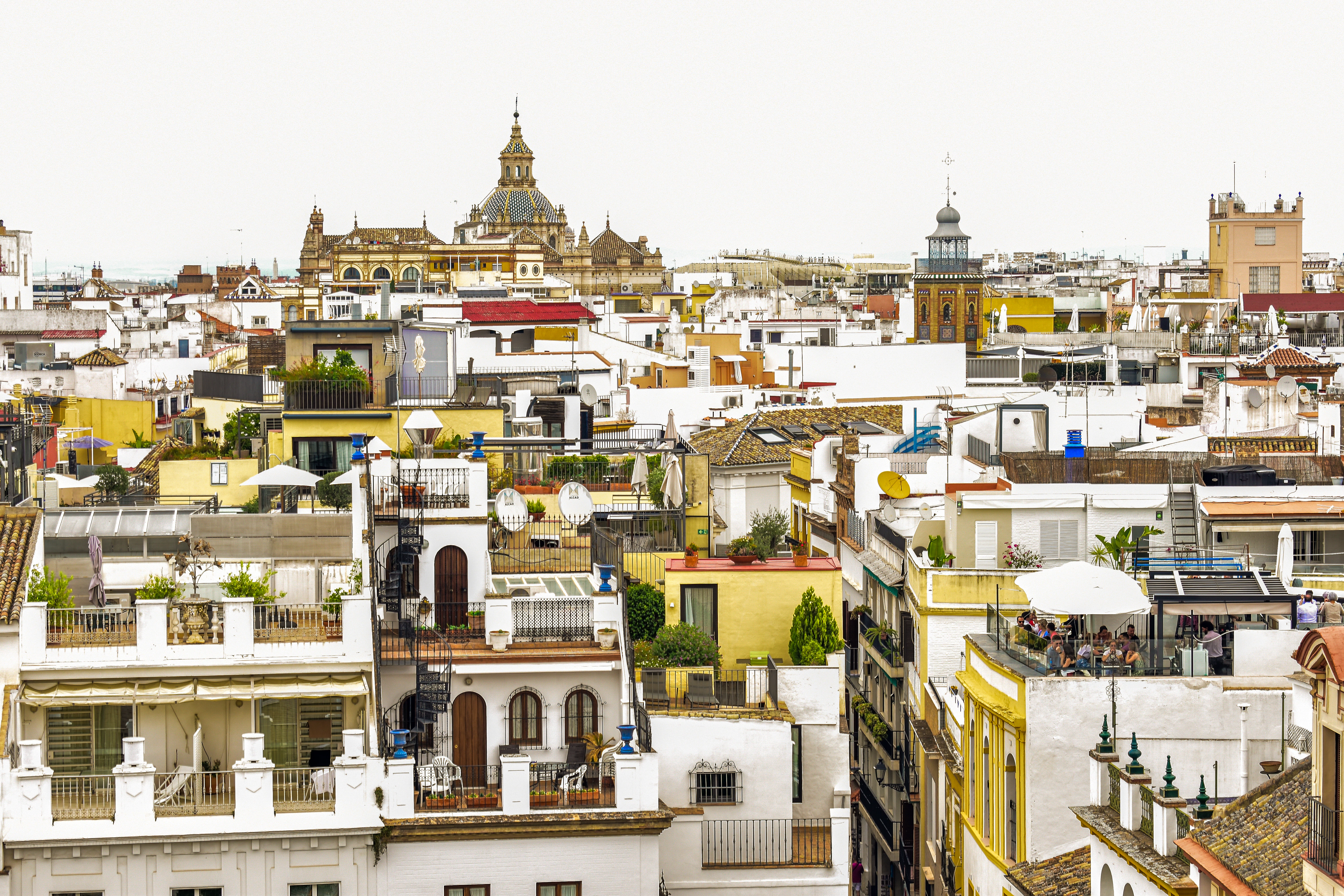 A city filled with lots of tall buildings