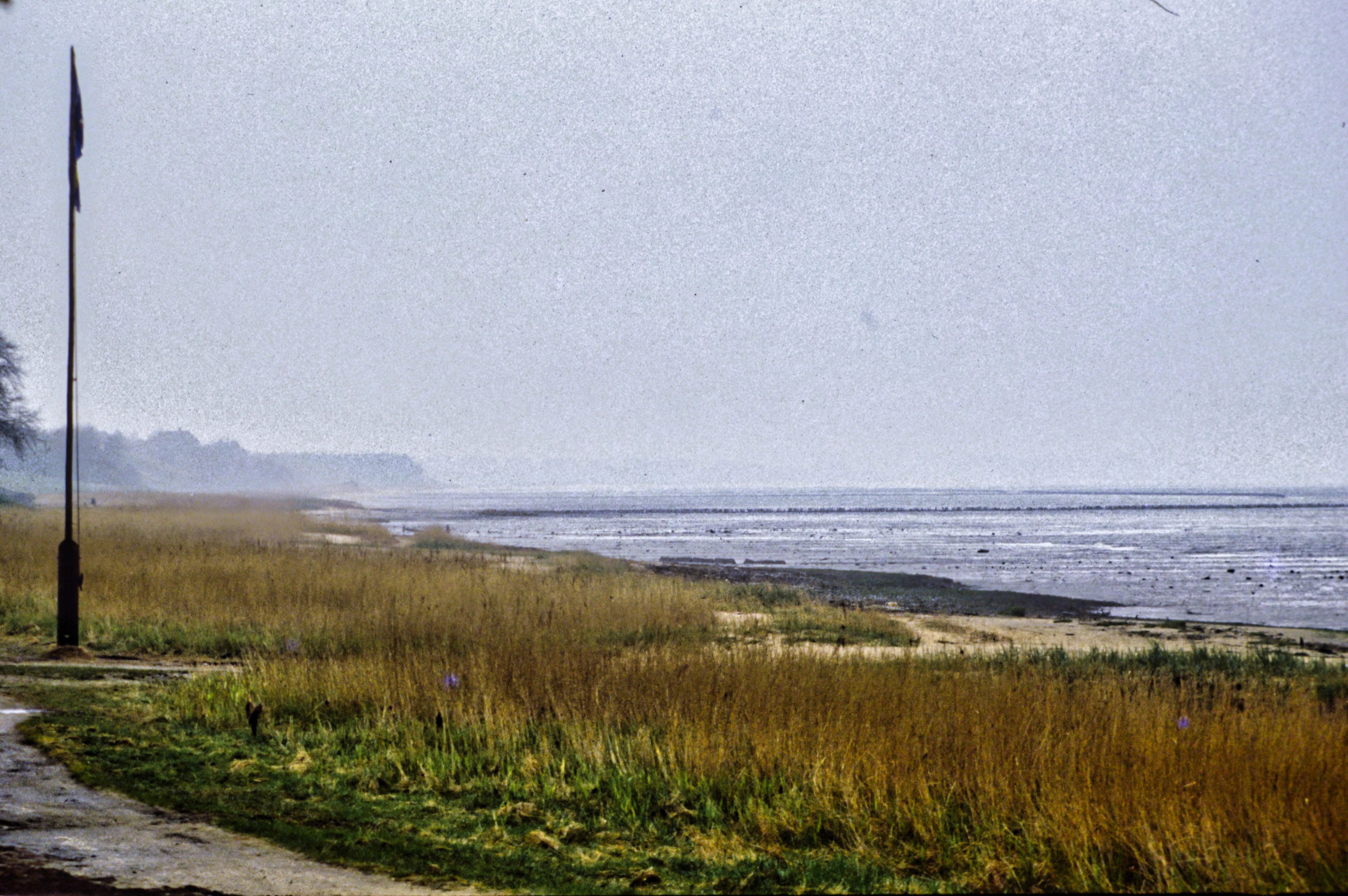 a grassy area next to a body of water