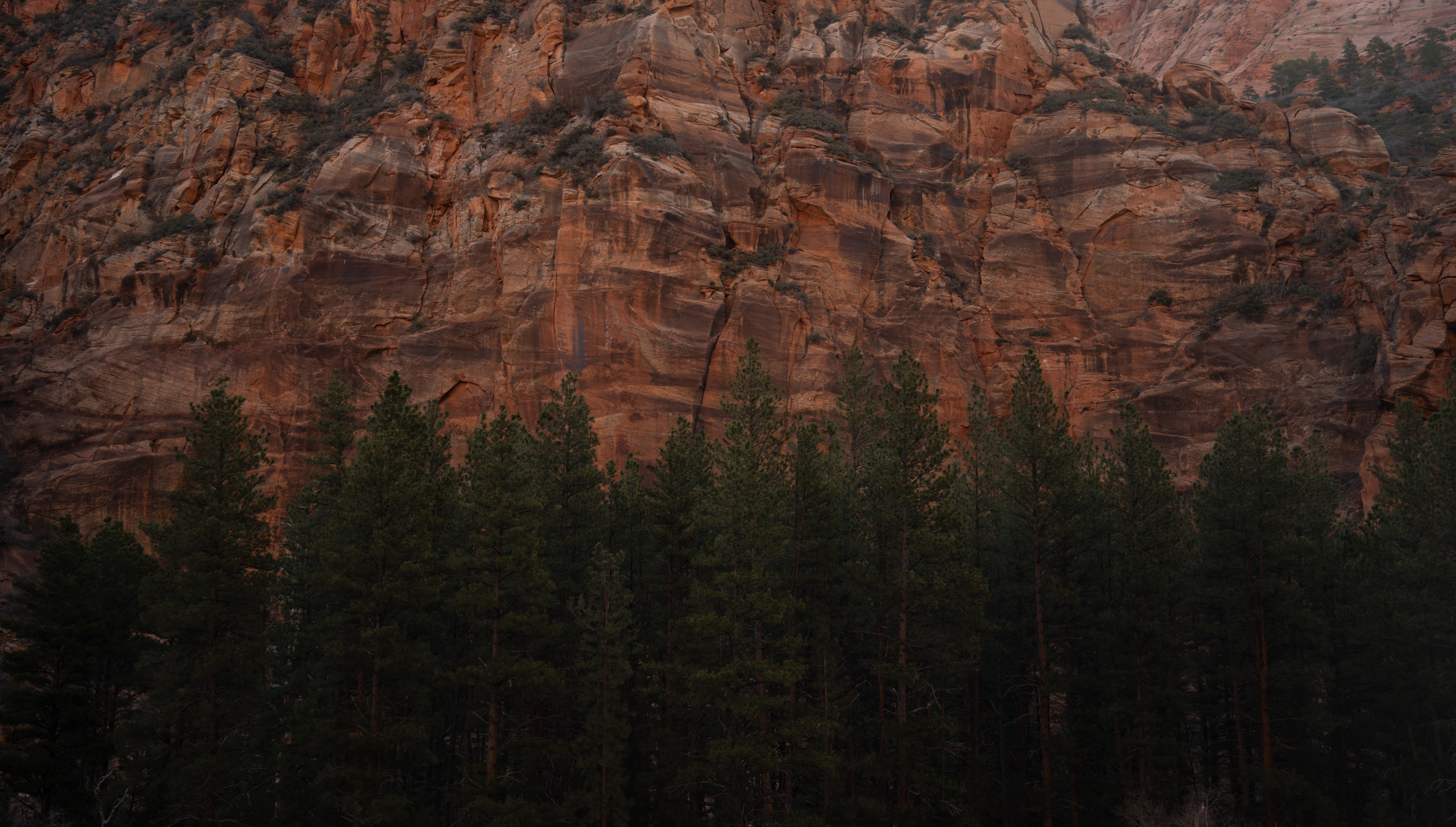 a group of people standing in front of a mountain