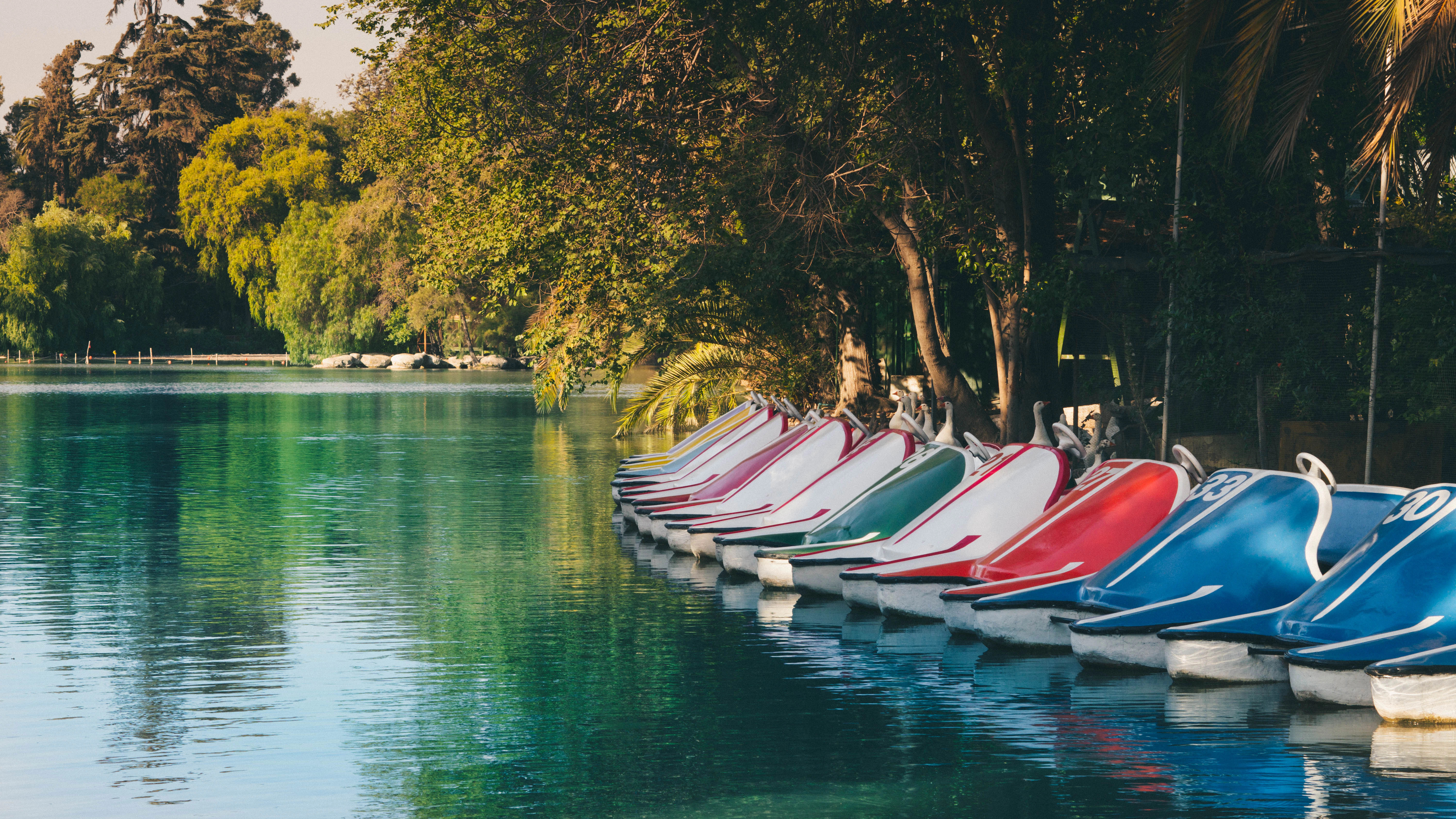 a row of row boats sitting on top of a lake