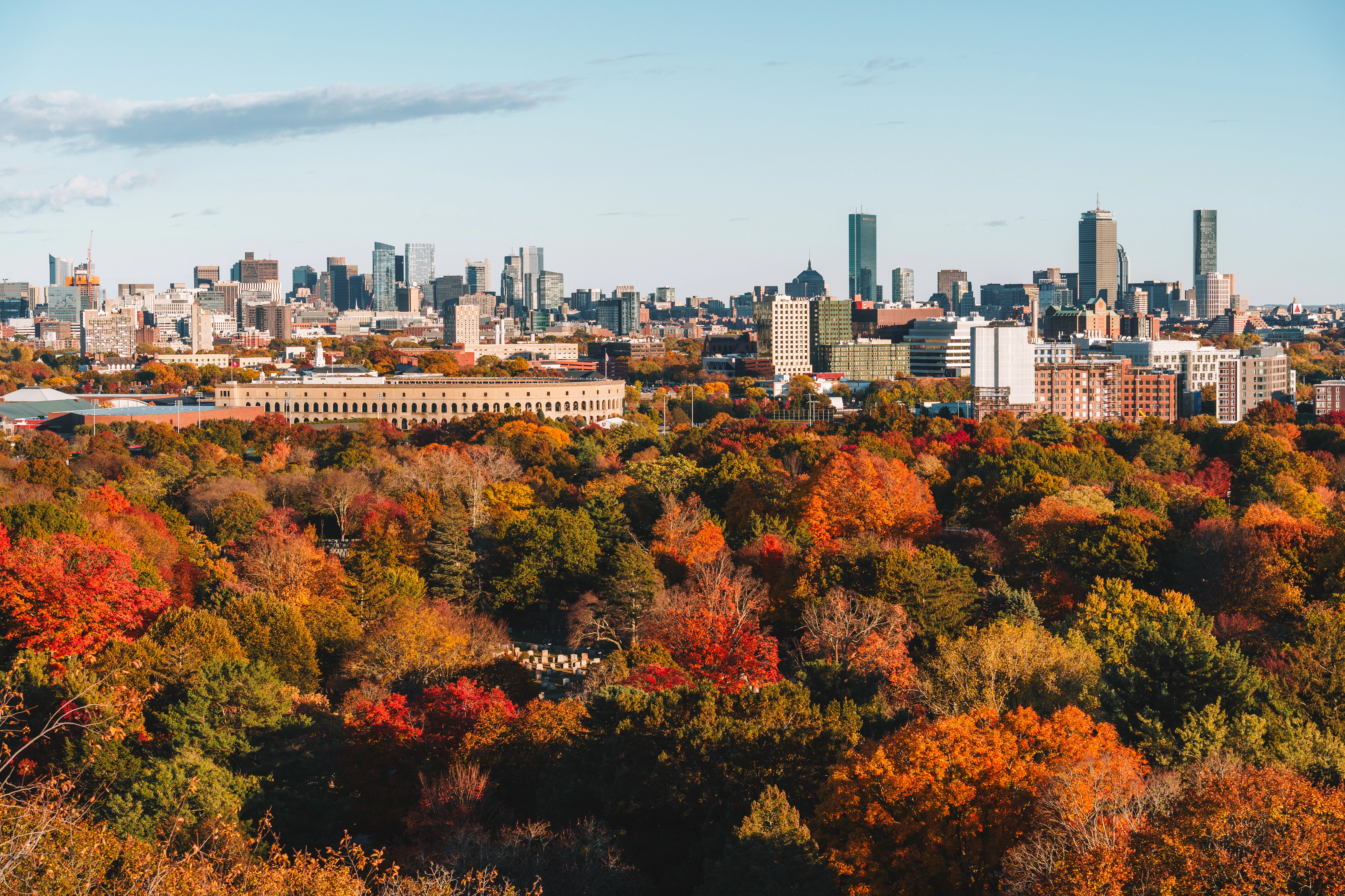 City skyline behind colorful autumn trees