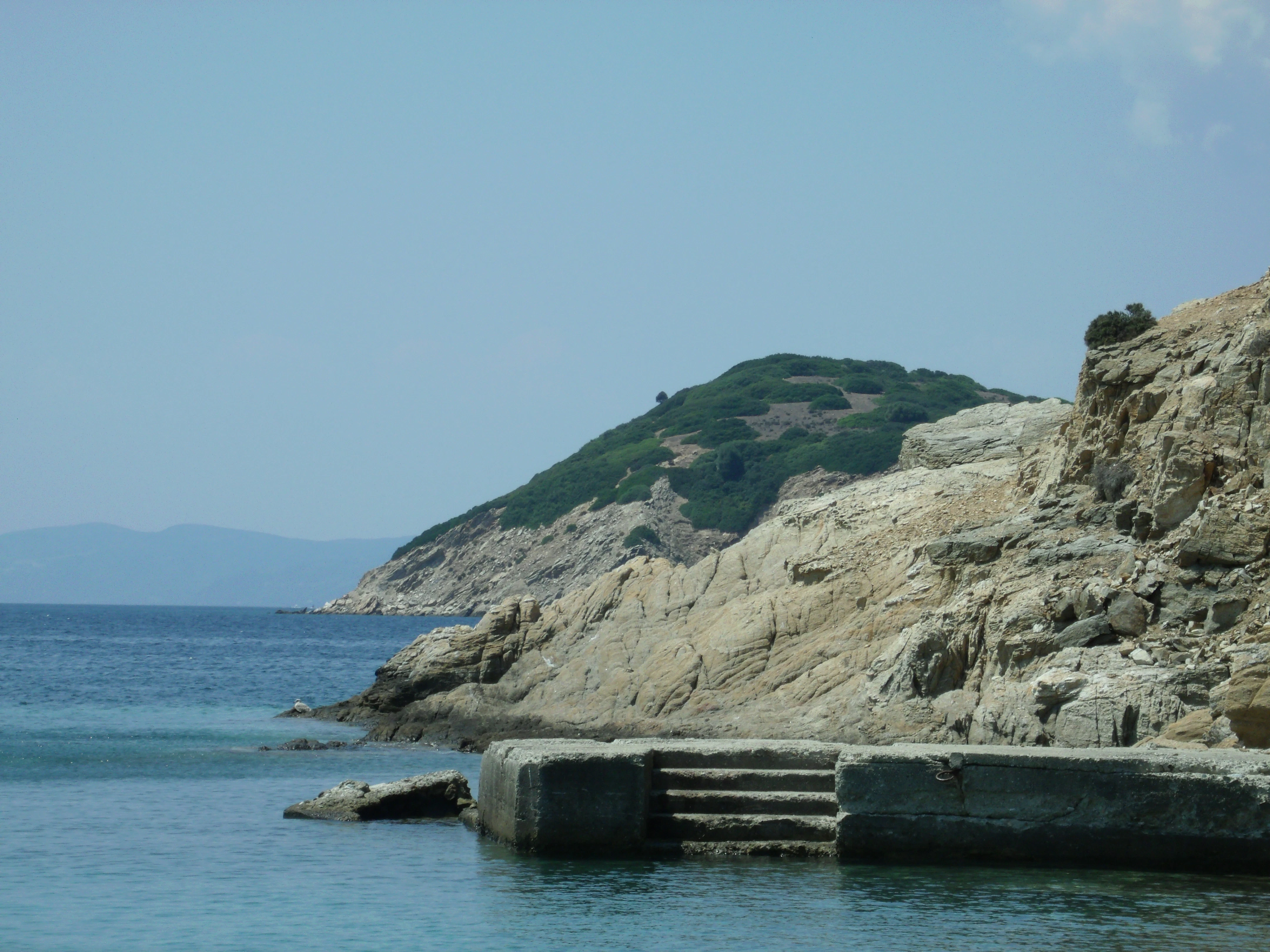 brown wooden dock on body of water during daytime