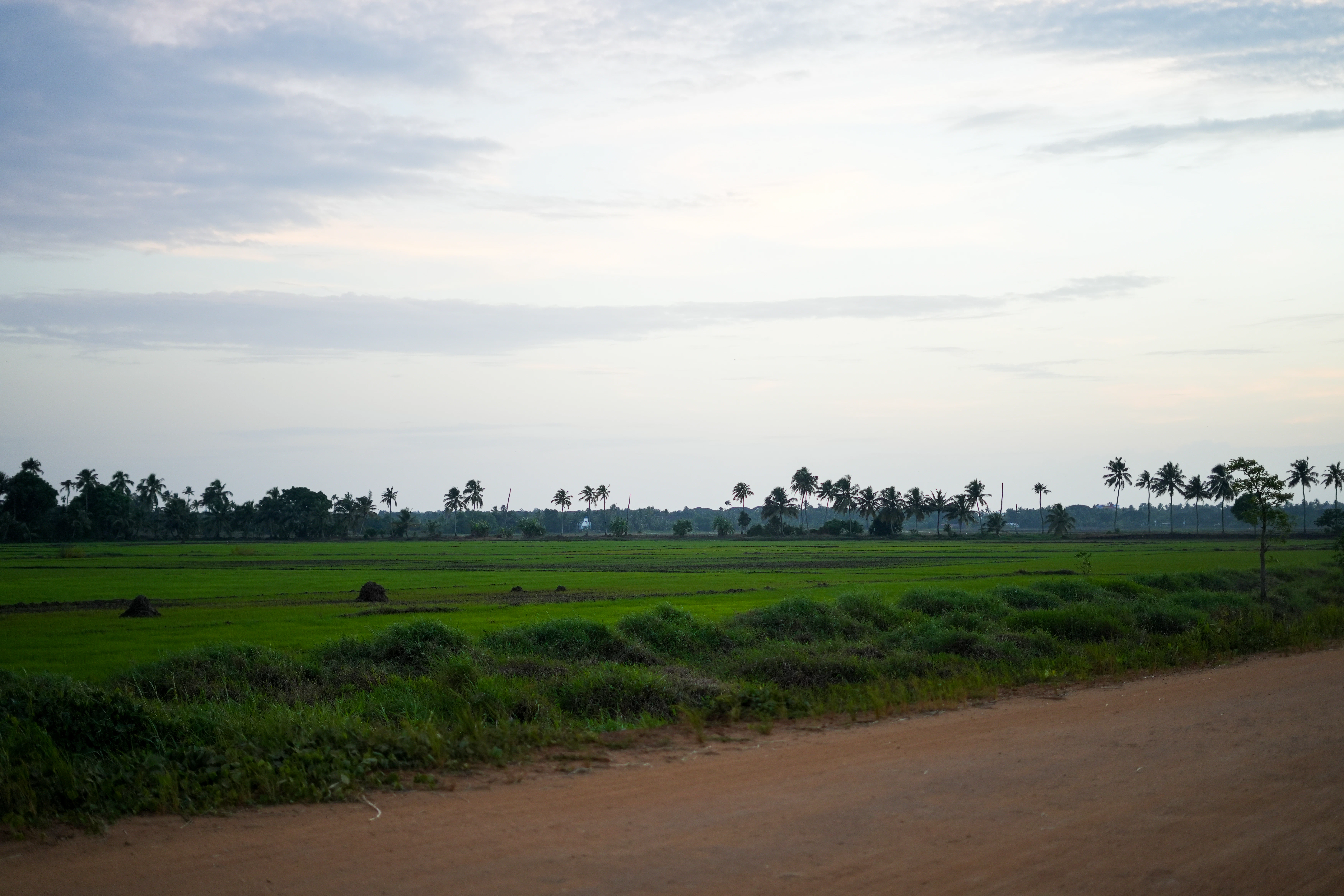 A dirt road with a green field in the background