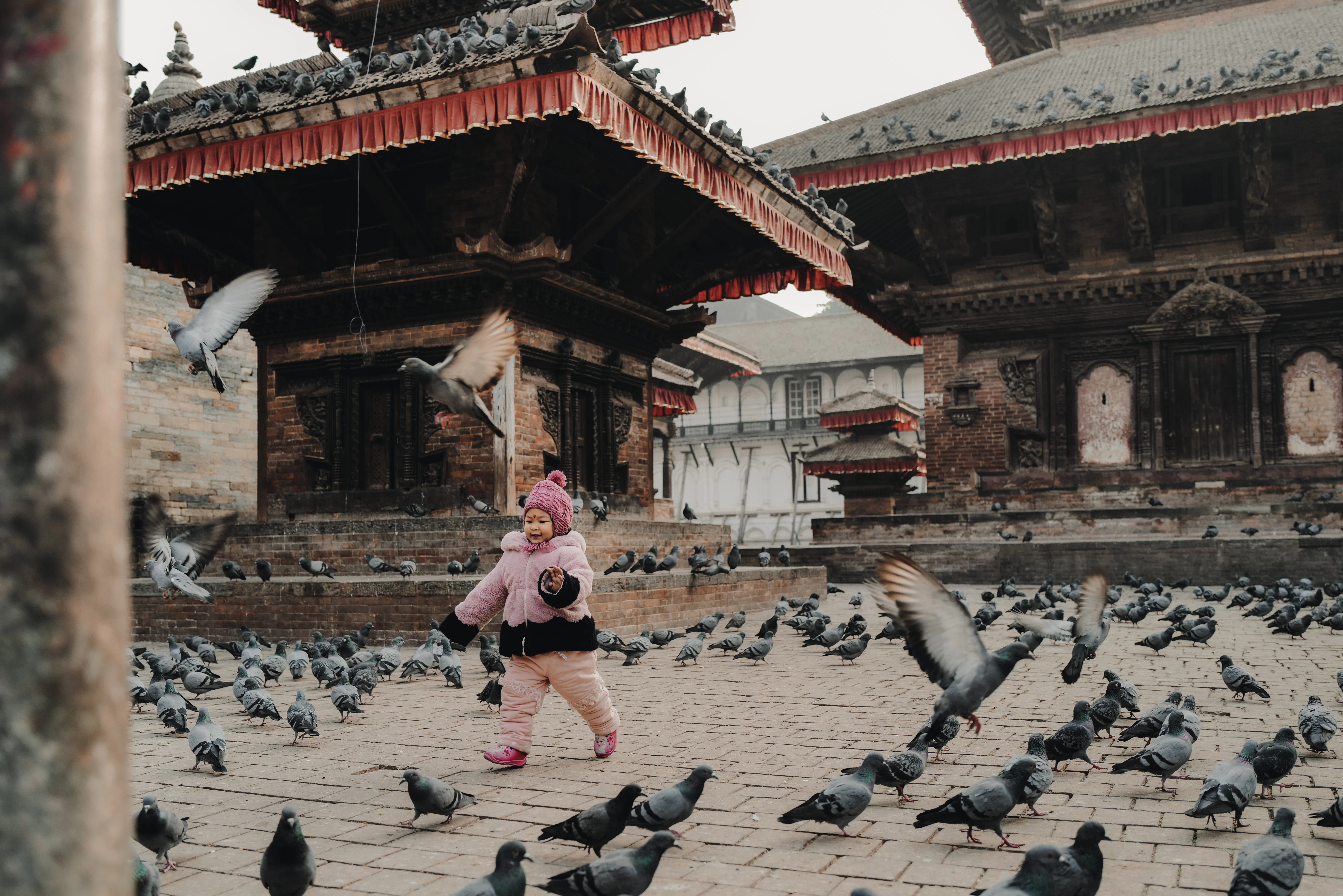 A woman is walking through a flock of pigeons