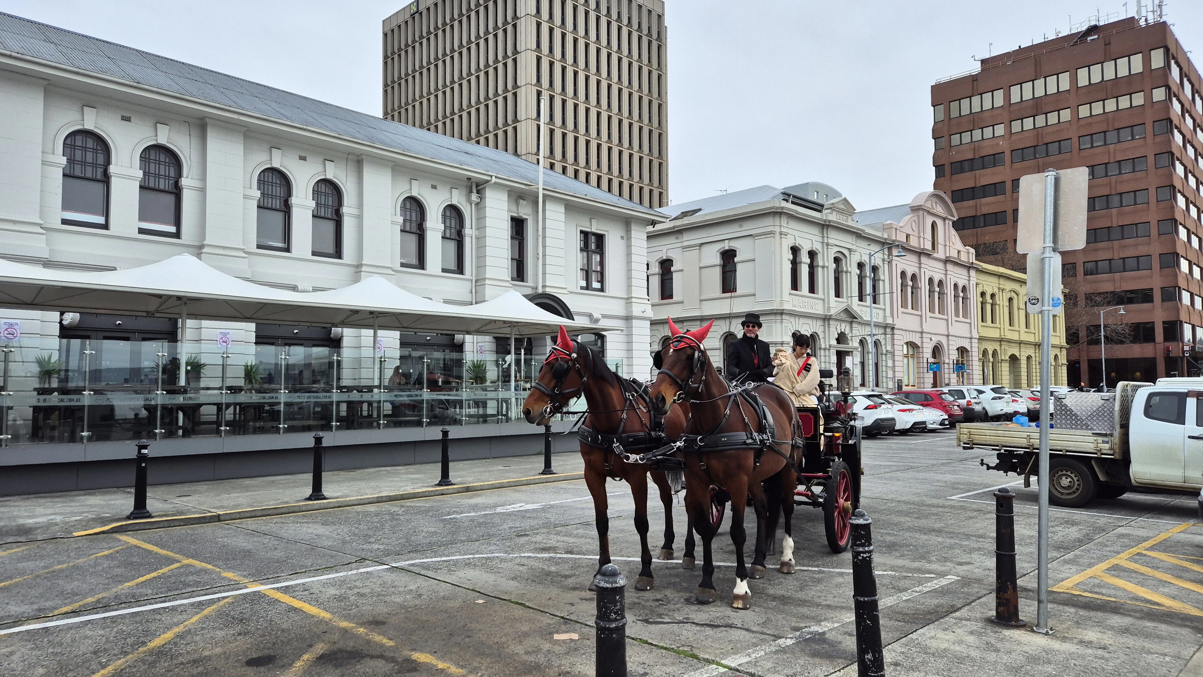 A couple of horses that are standing in the street