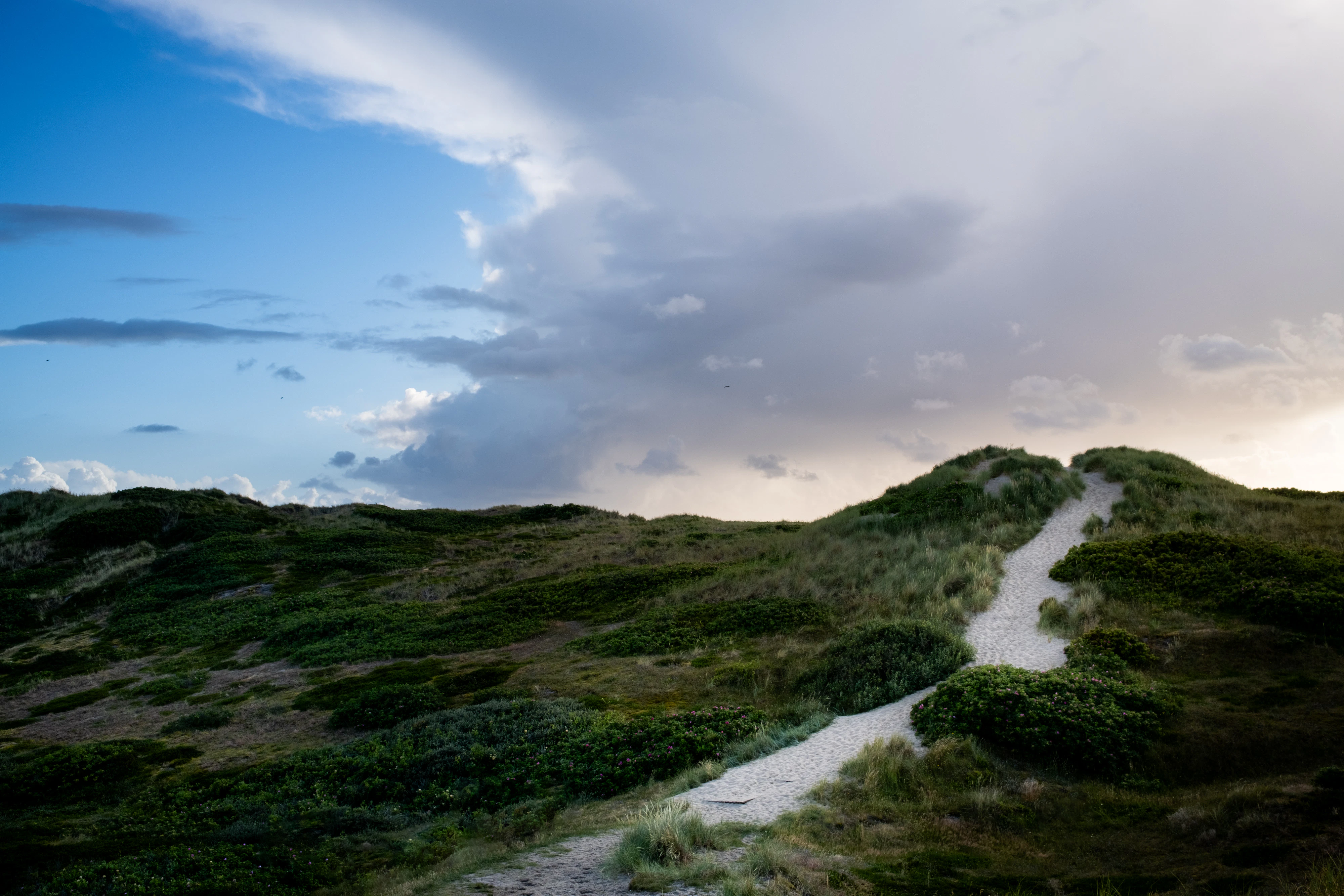 A hill covered in grass under a cloudy sky