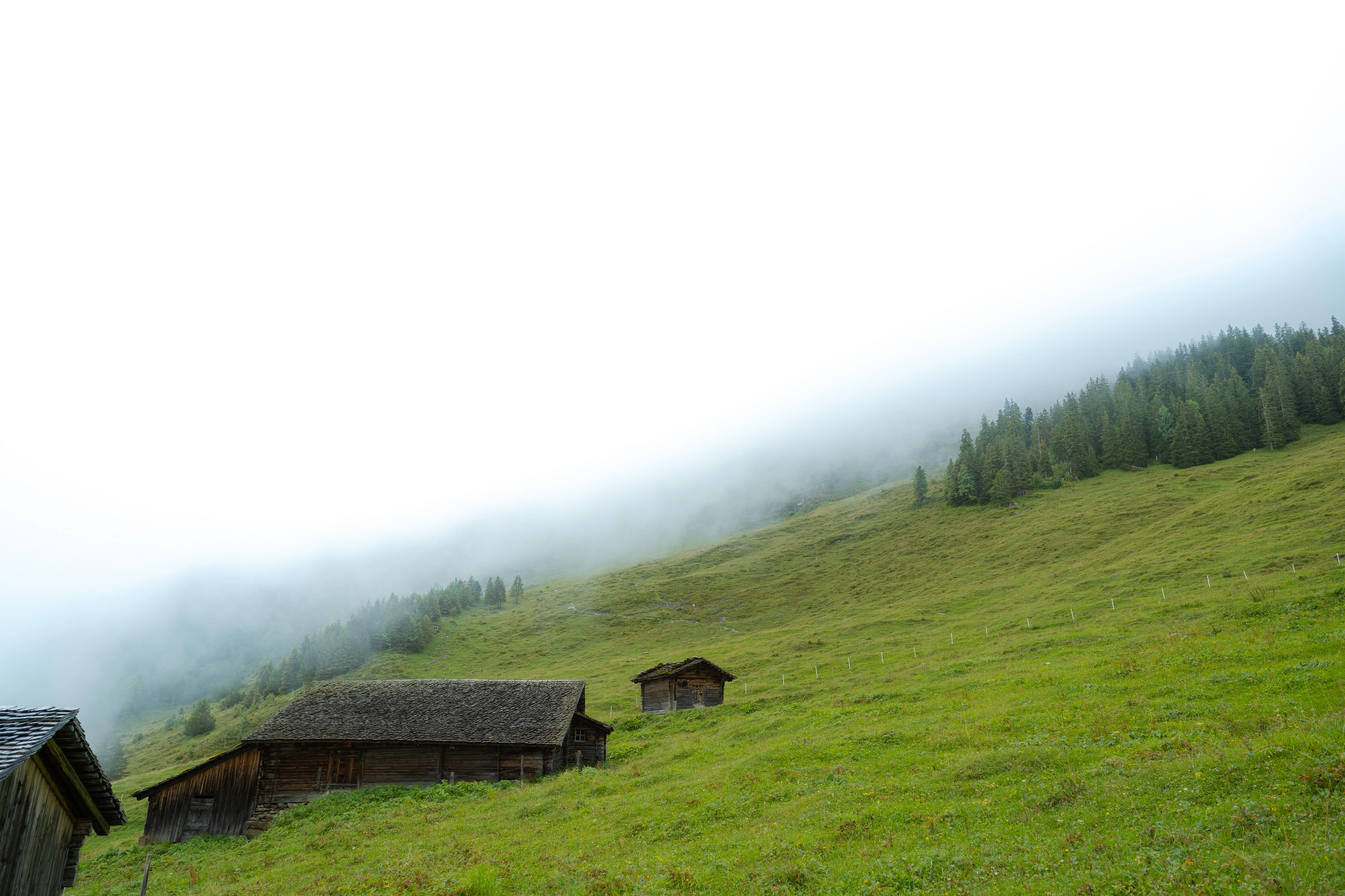 Wooden cabins on a foggy green mountainside with pine trees.