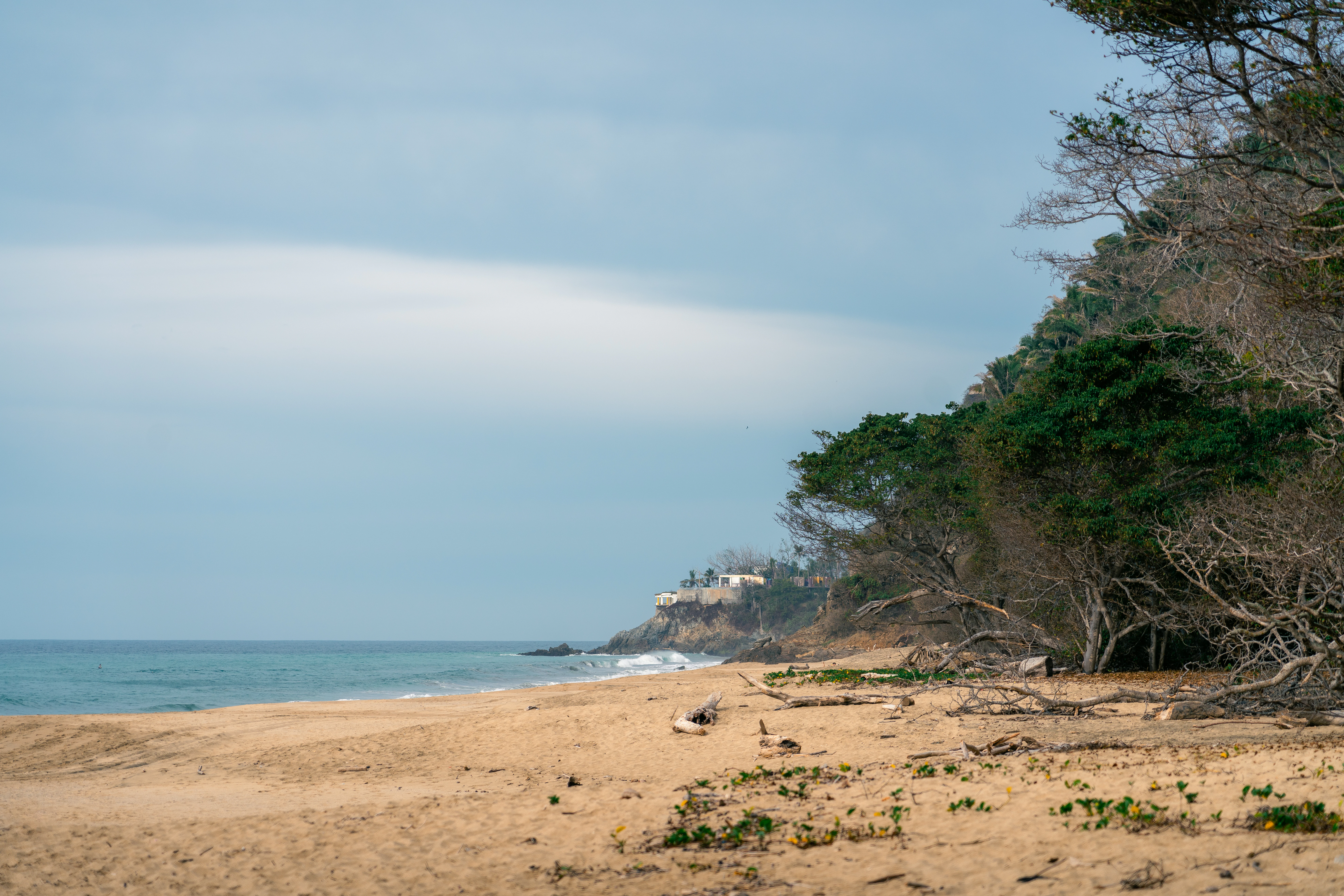 a sandy beach with trees and water in the background