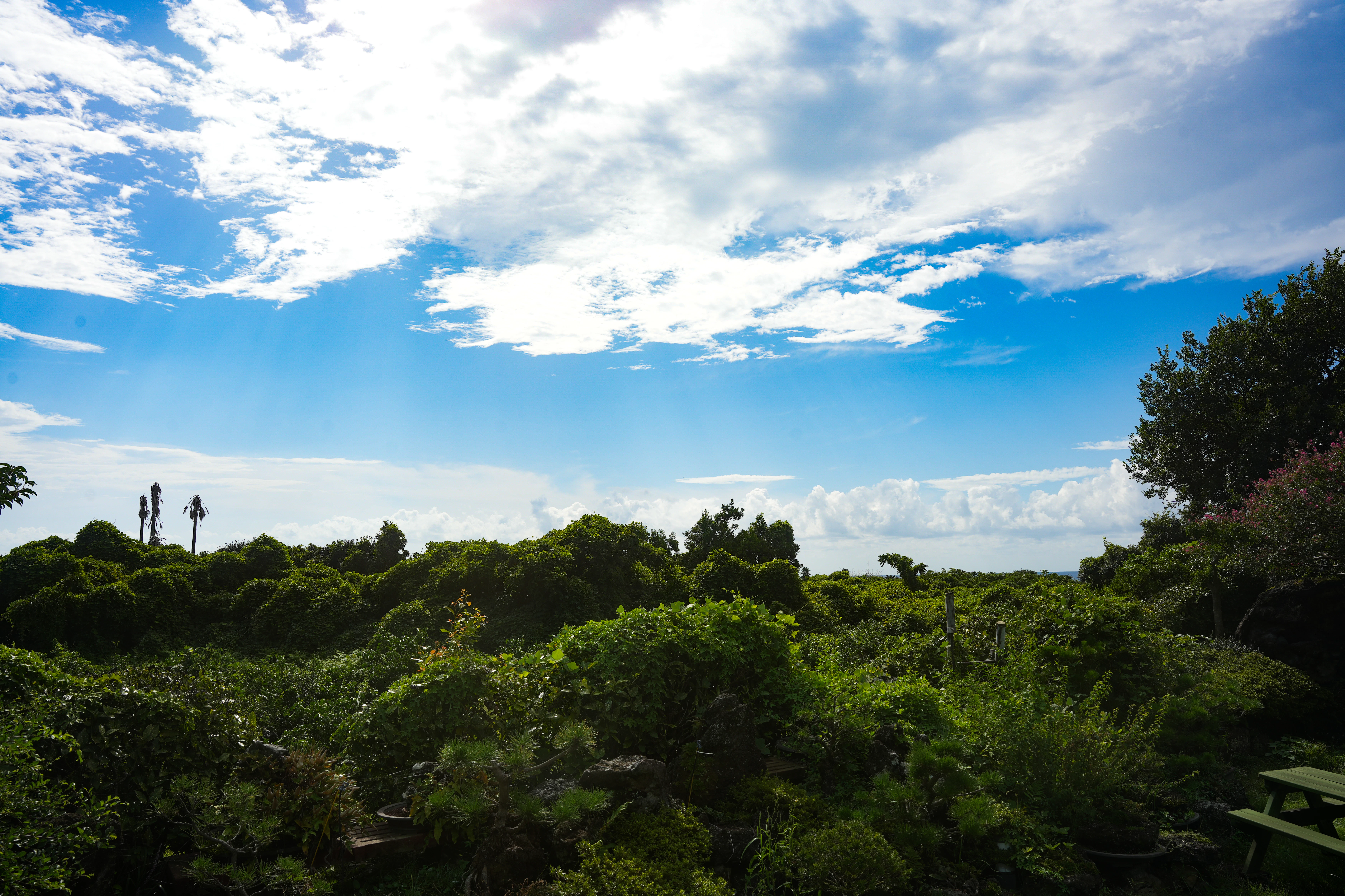 Lush green landscape under a bright blue sky